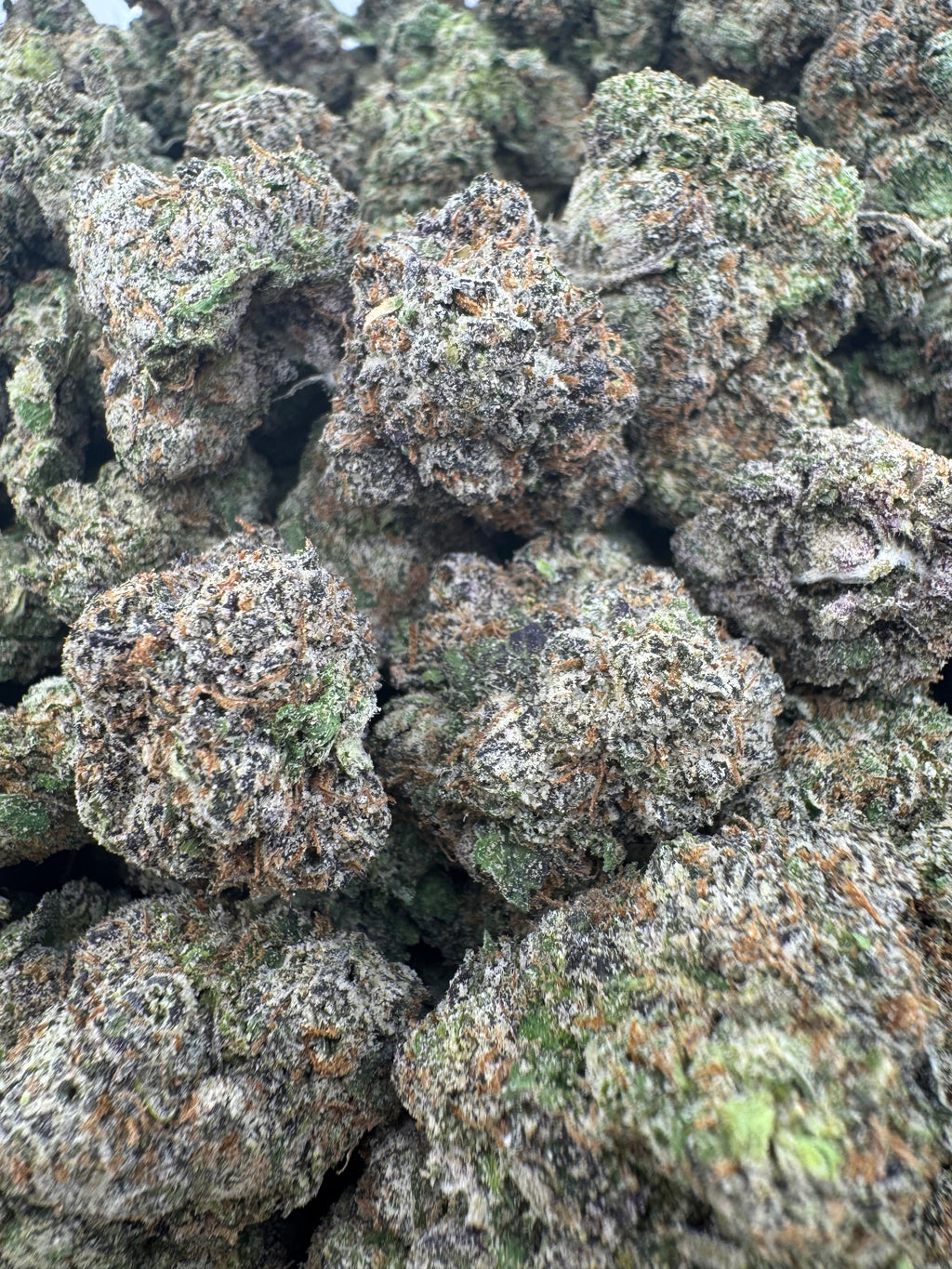 Cotton Candy(I)