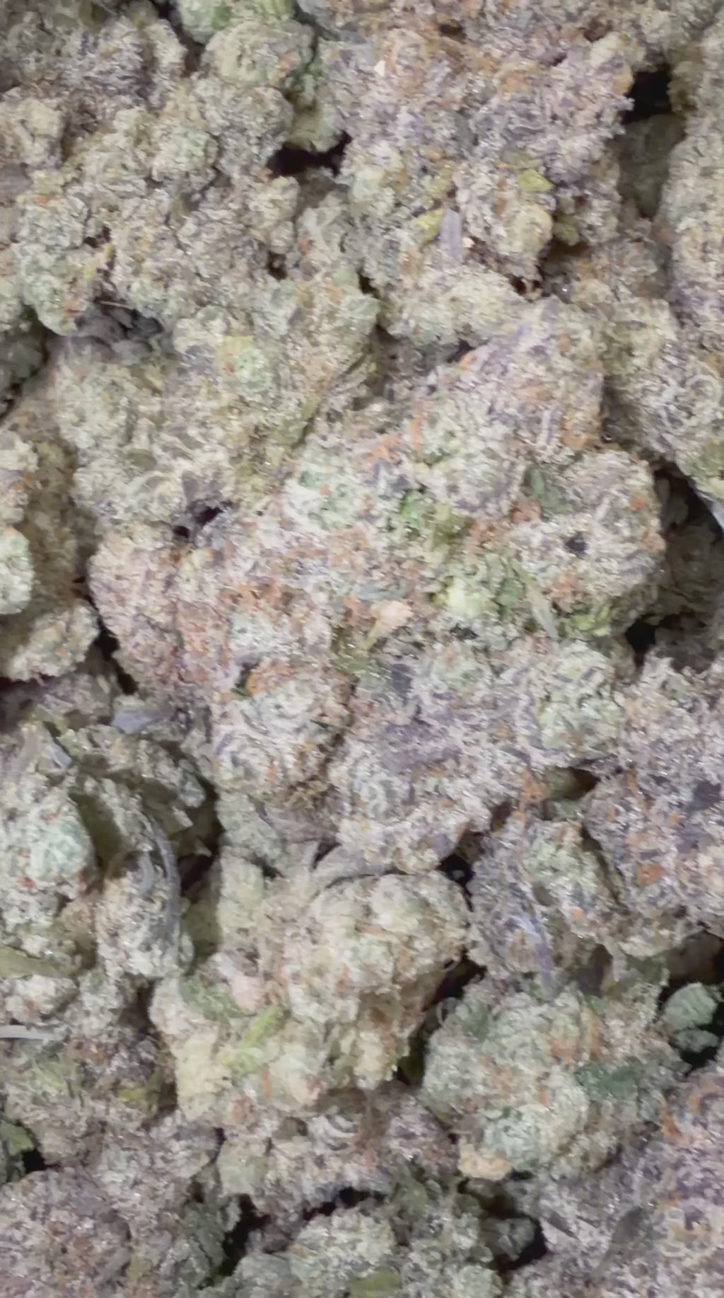 Canalope Haze