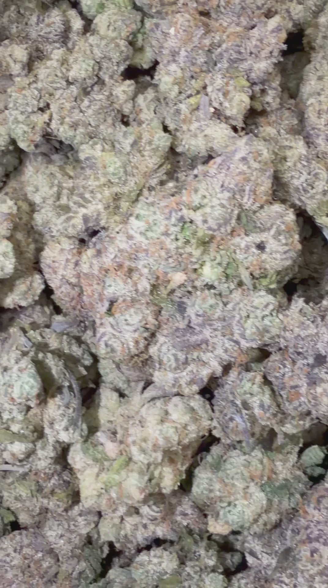 Canalope Haze