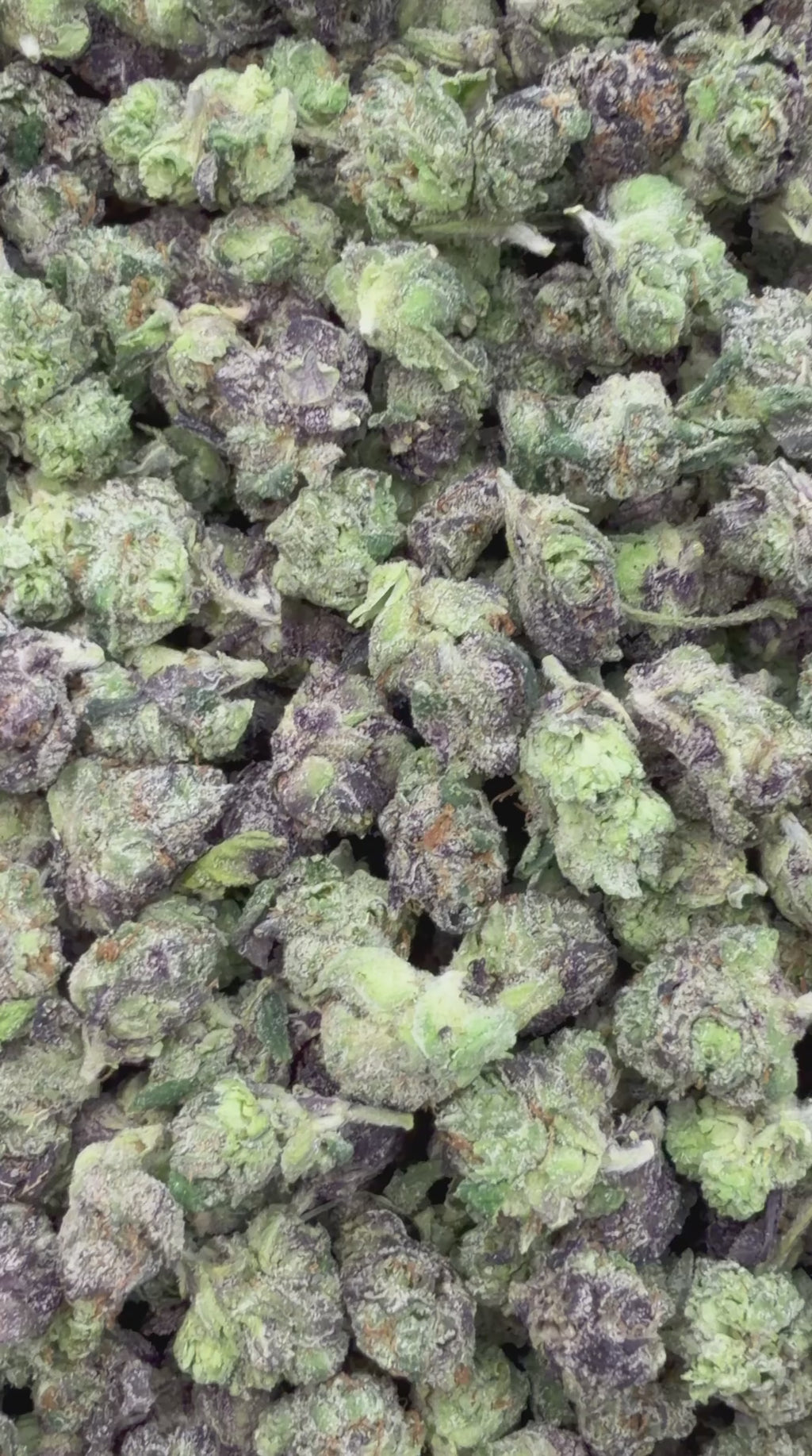 Bubblegum popperz smalls