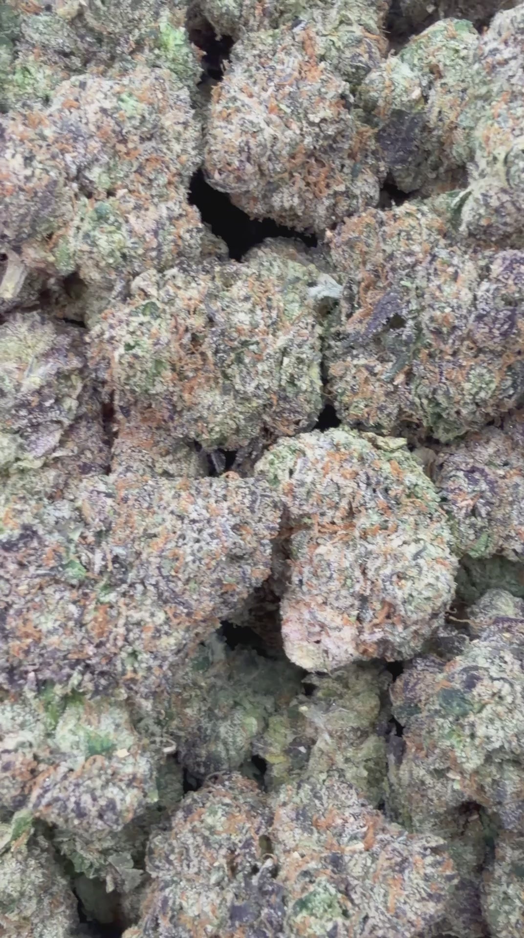 Candy Land
