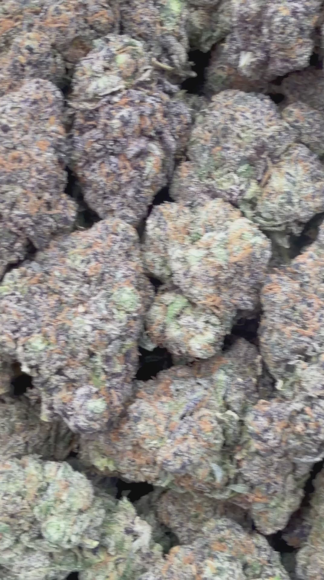 Big League Chew