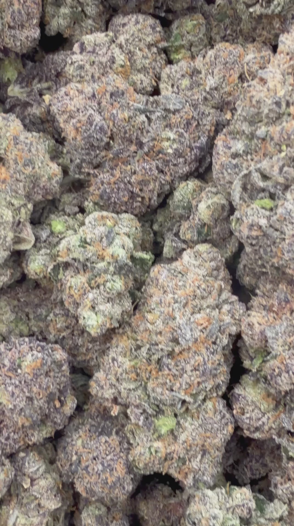 Ghost Train Haze