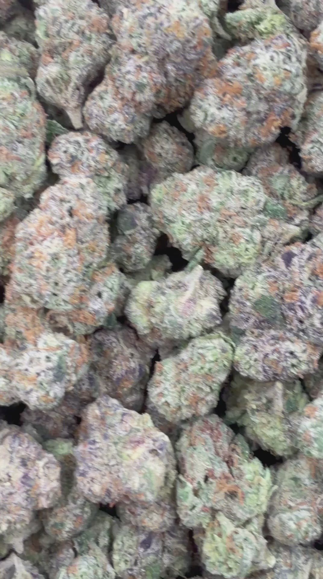 Cereal Runtz