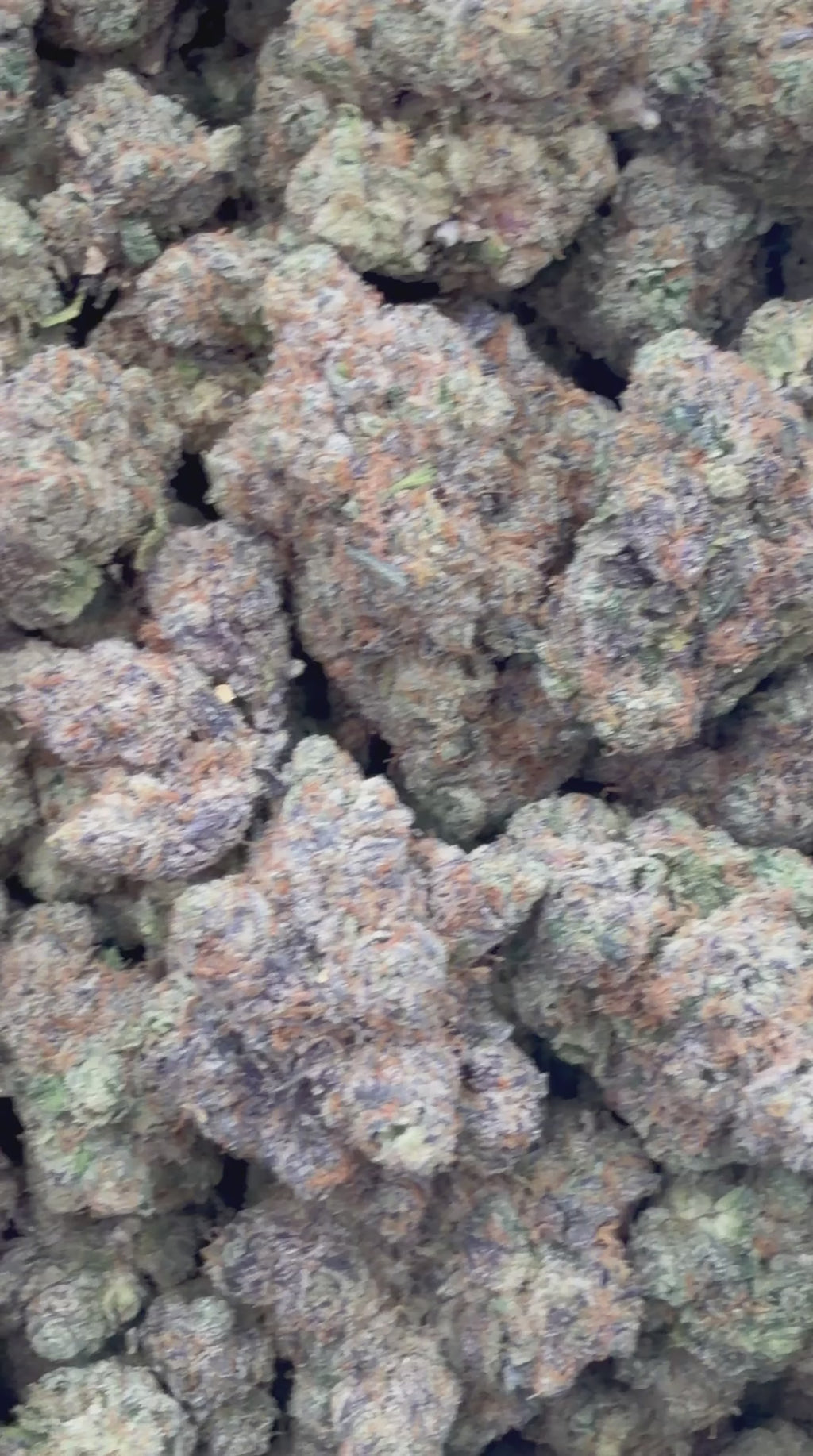 Zour Cheese