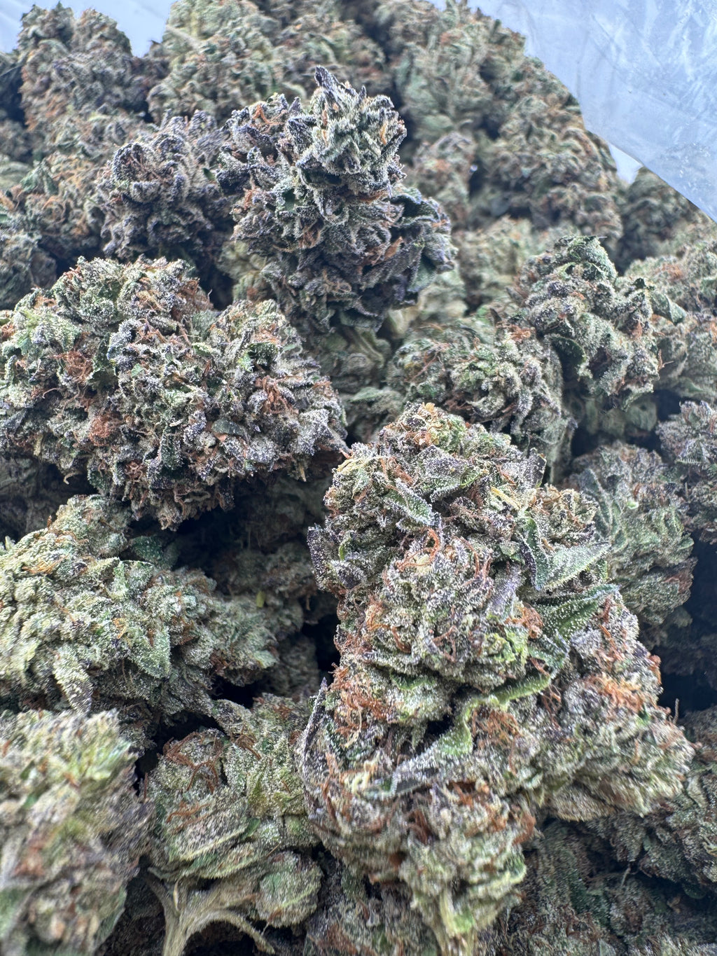 AAA Deps:Purple Punch