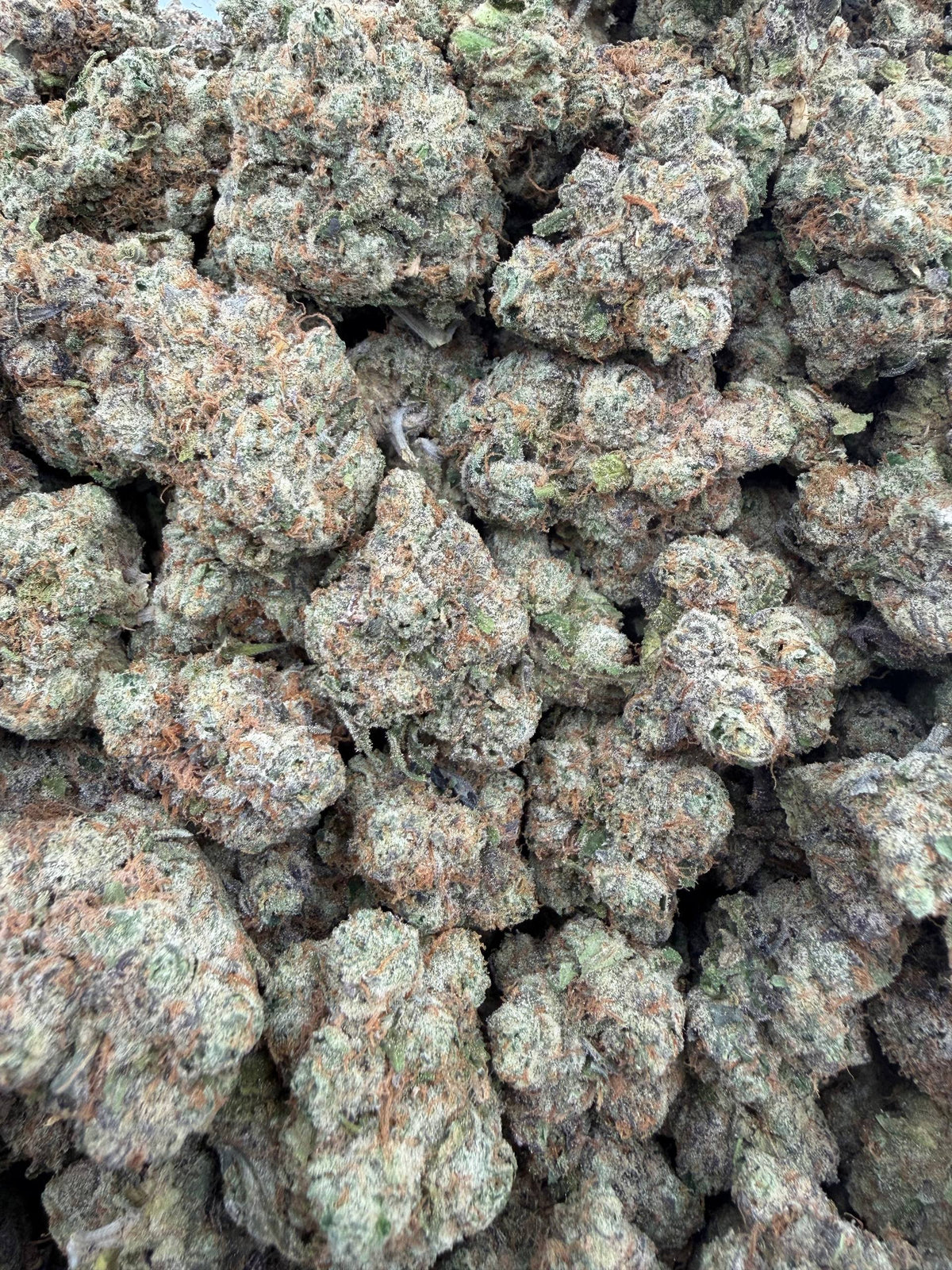 Grape Pushpop