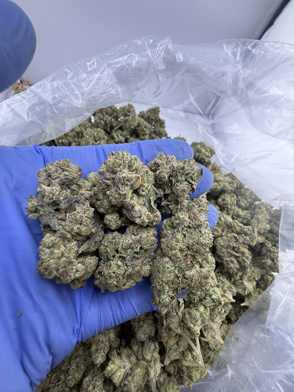 Grape Zours