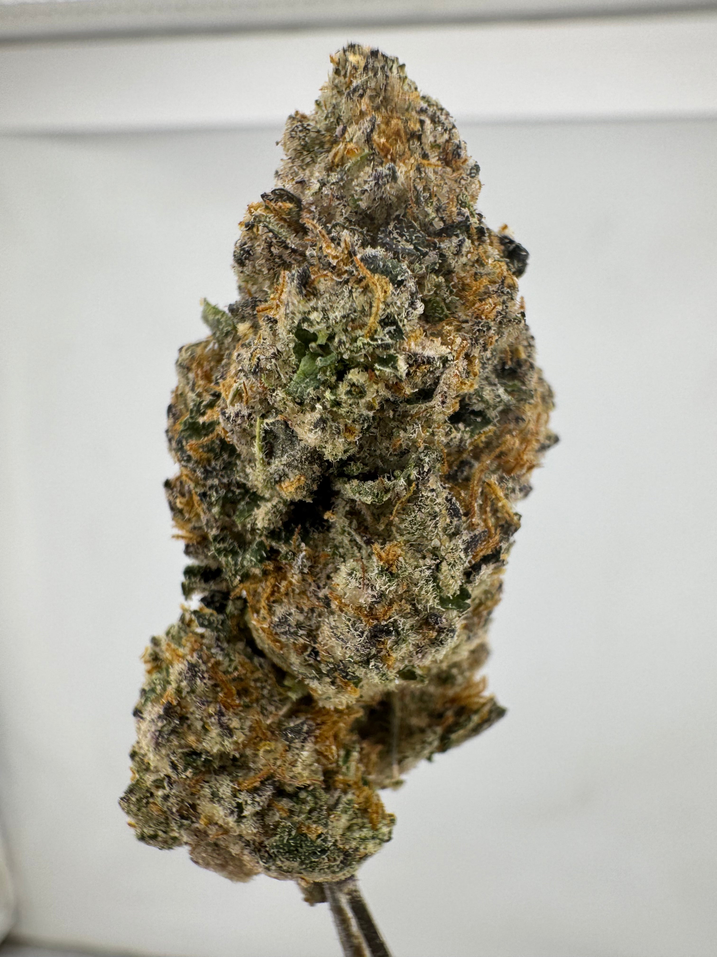 Purple Peeps M