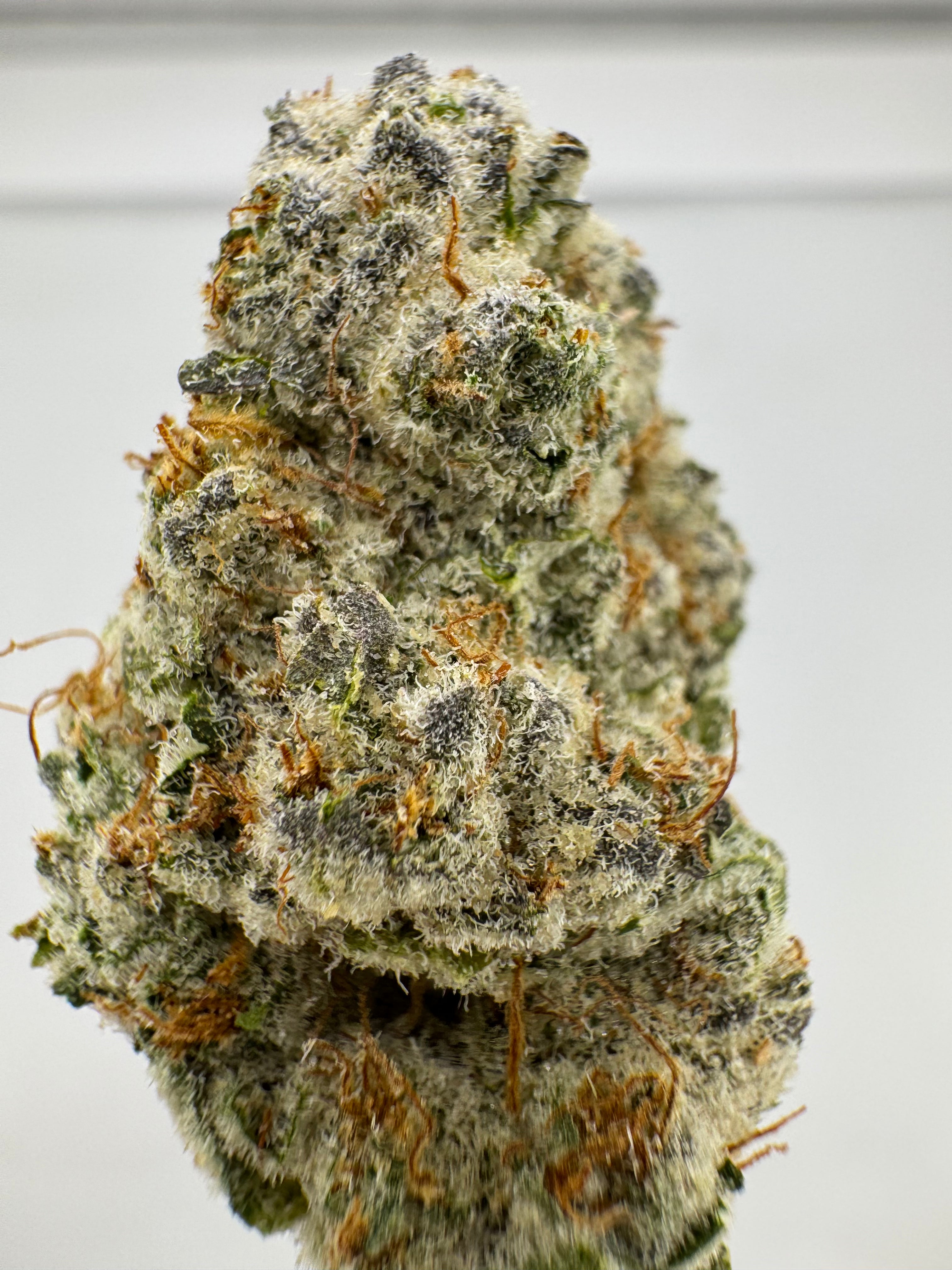 Berry Pie