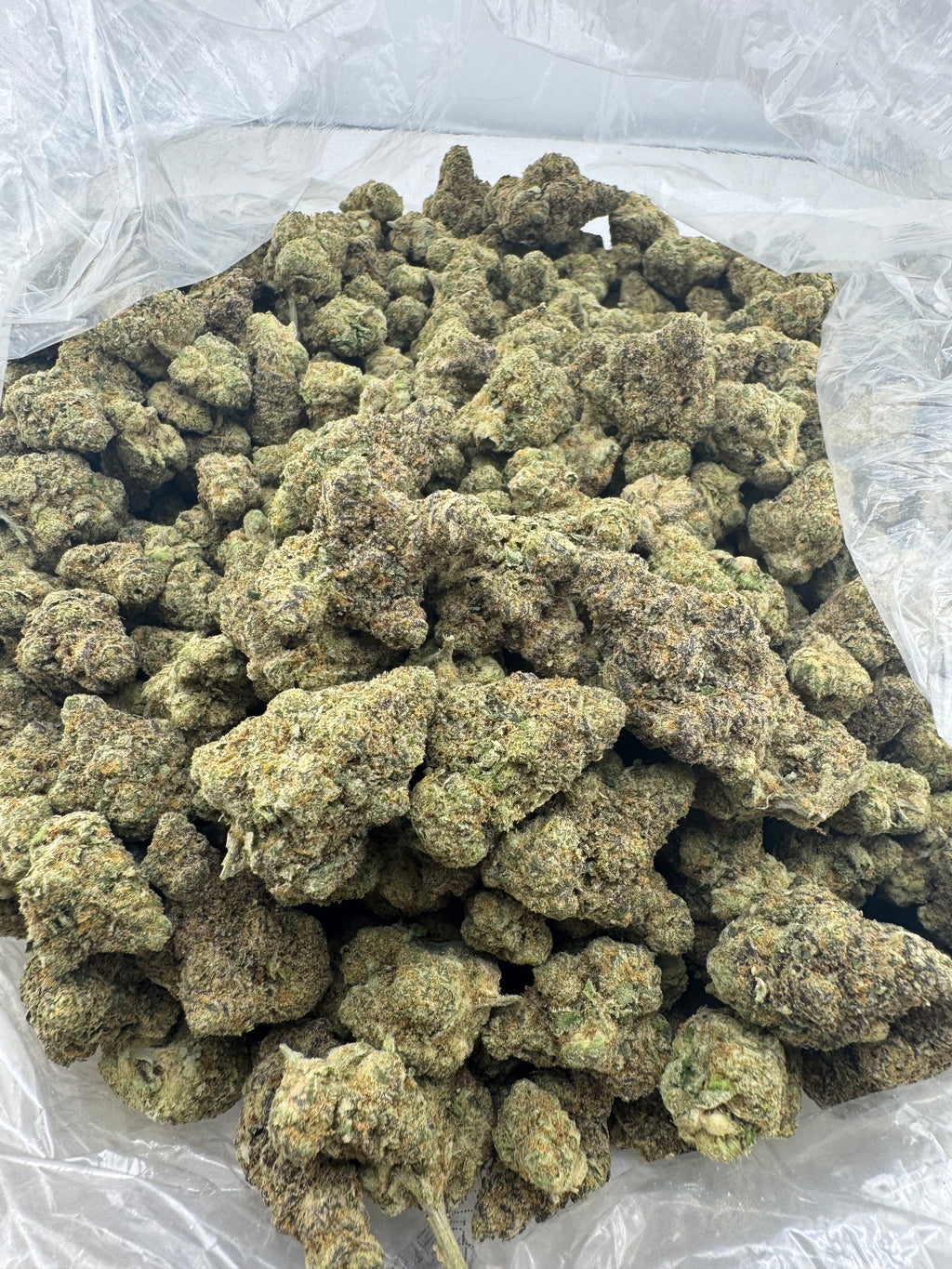 Tropical Banana