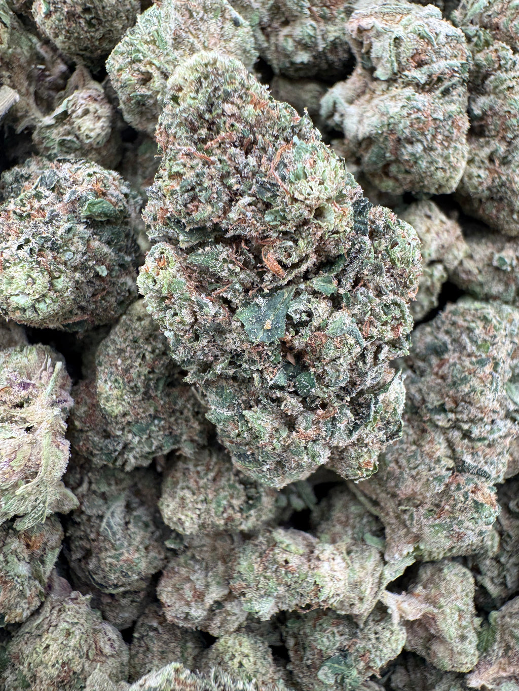 Orange creamsicle
