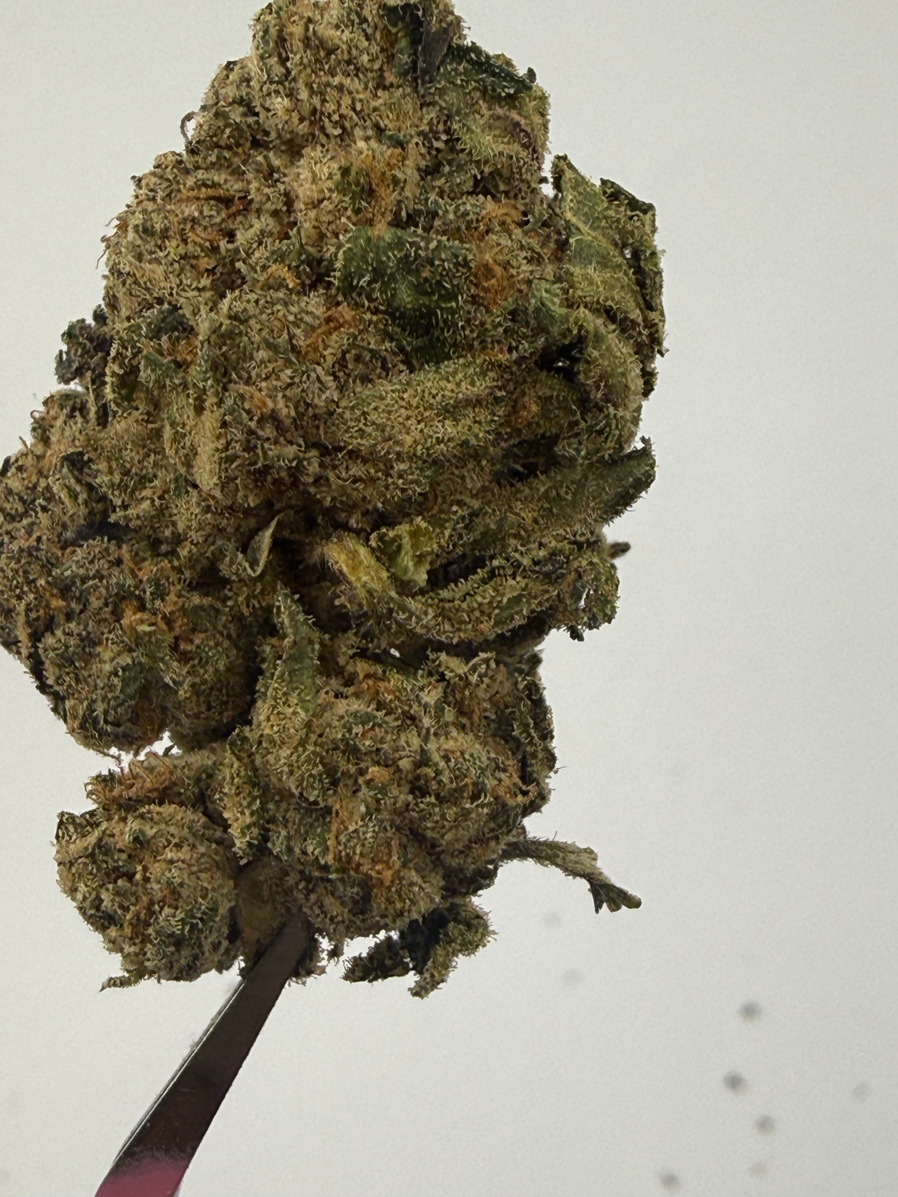 Lemon Daze