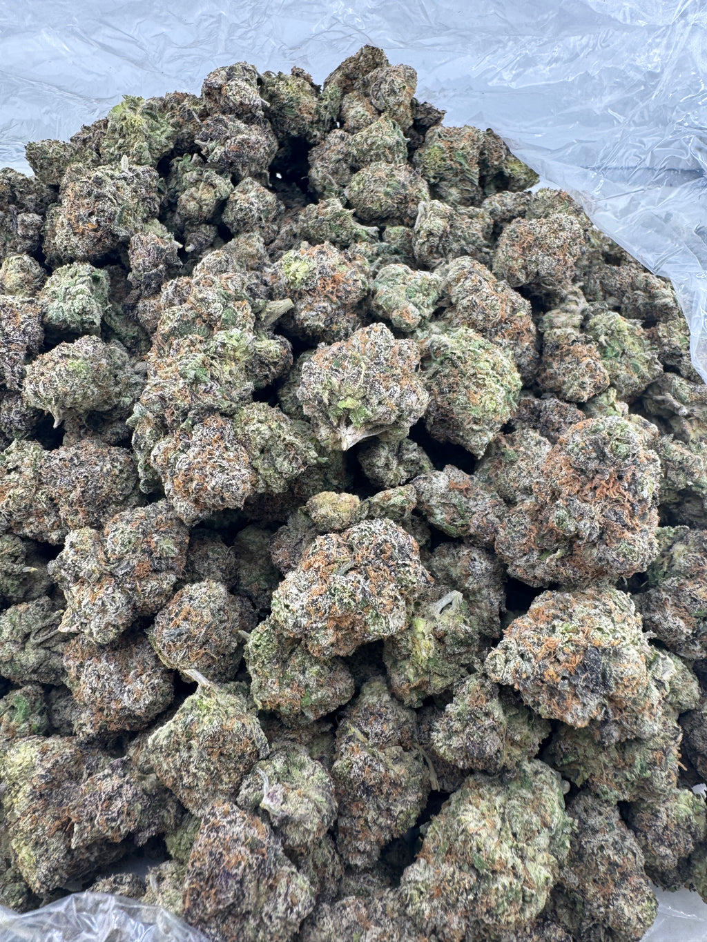 White Cherry Gelato