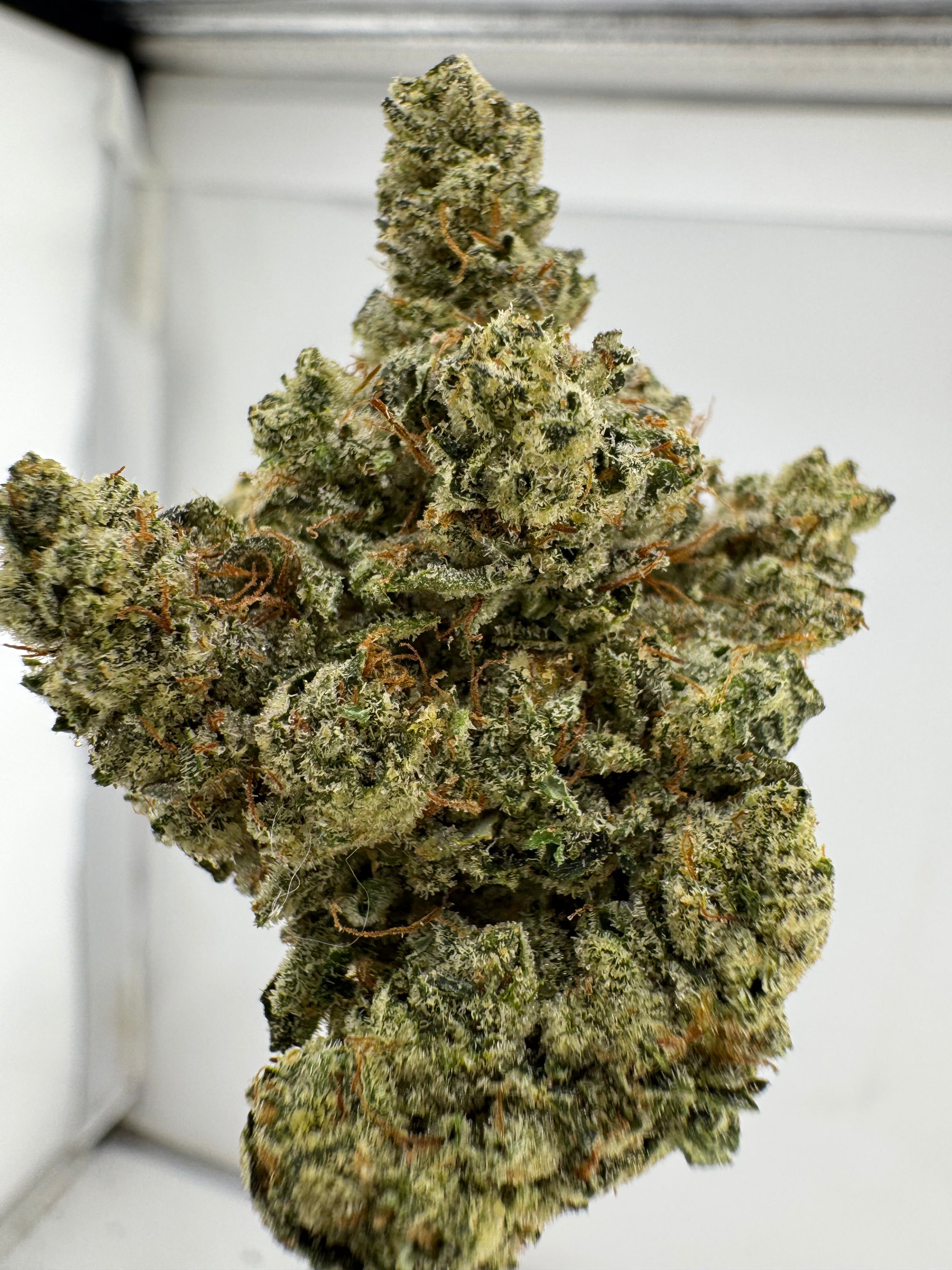 Alien cookies
