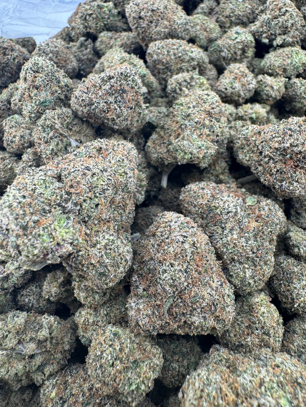 Rainbow Sweet Tartz