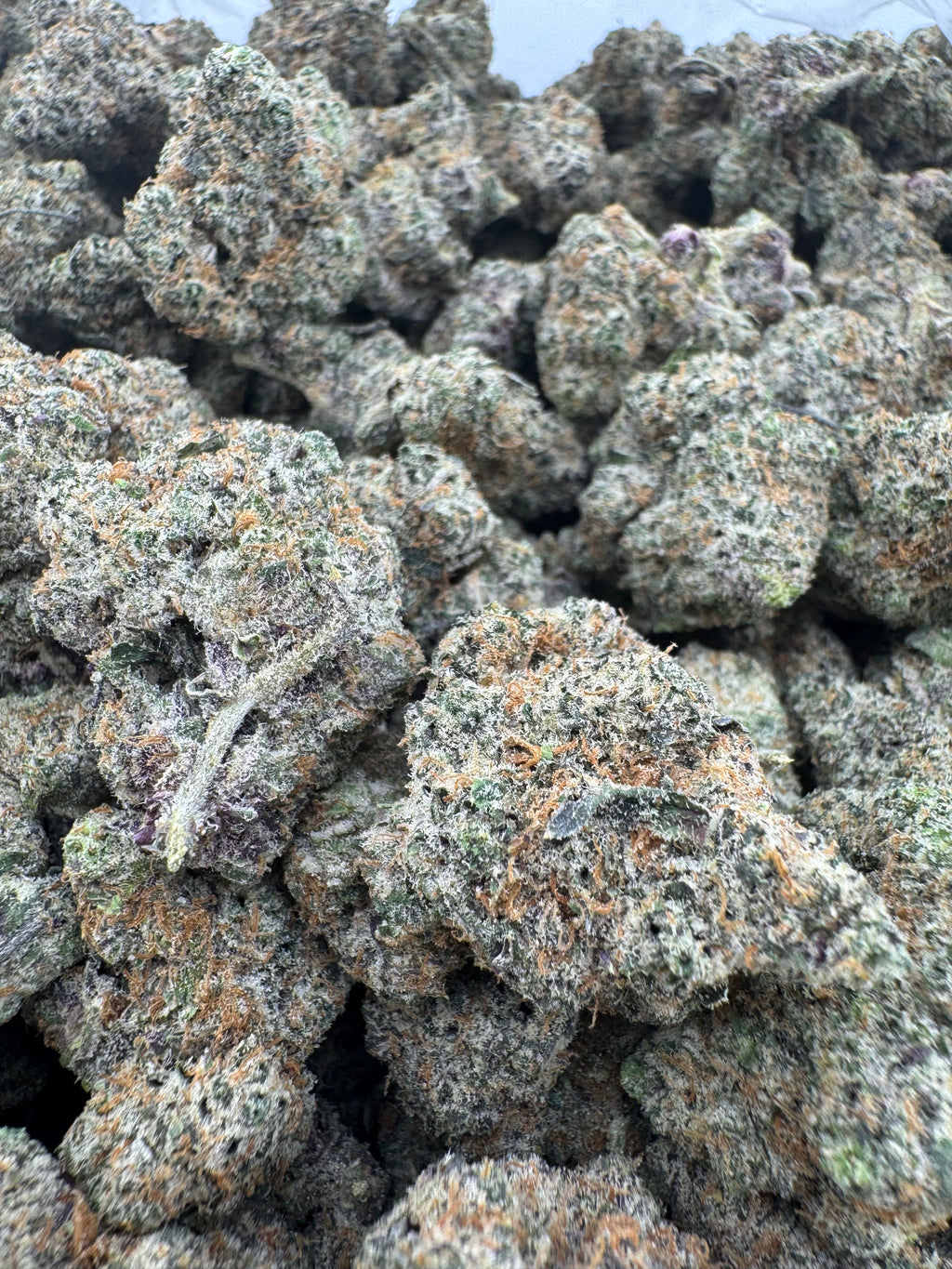 Frosted Flakes