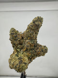 Tropical Banana