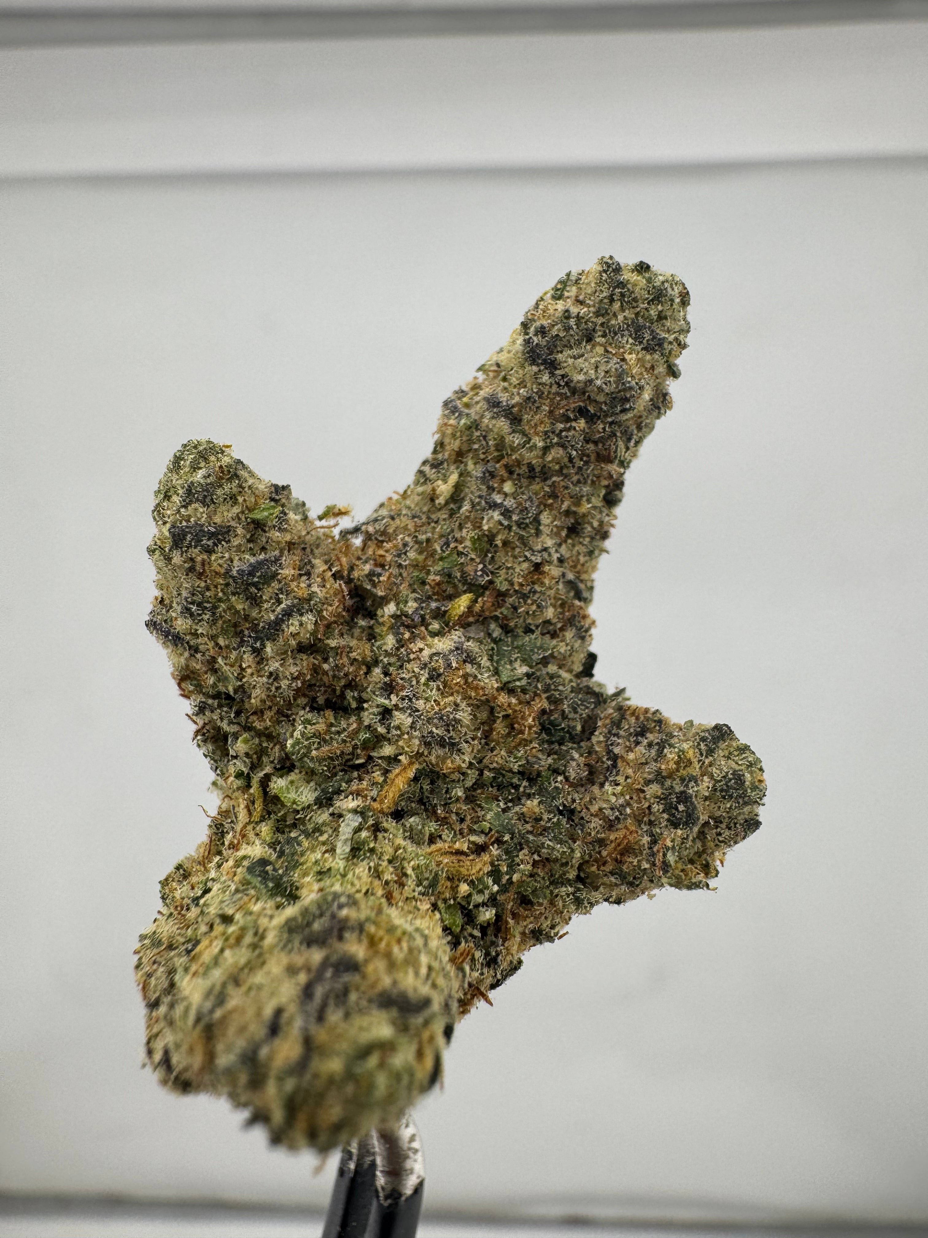 Tropical Banana