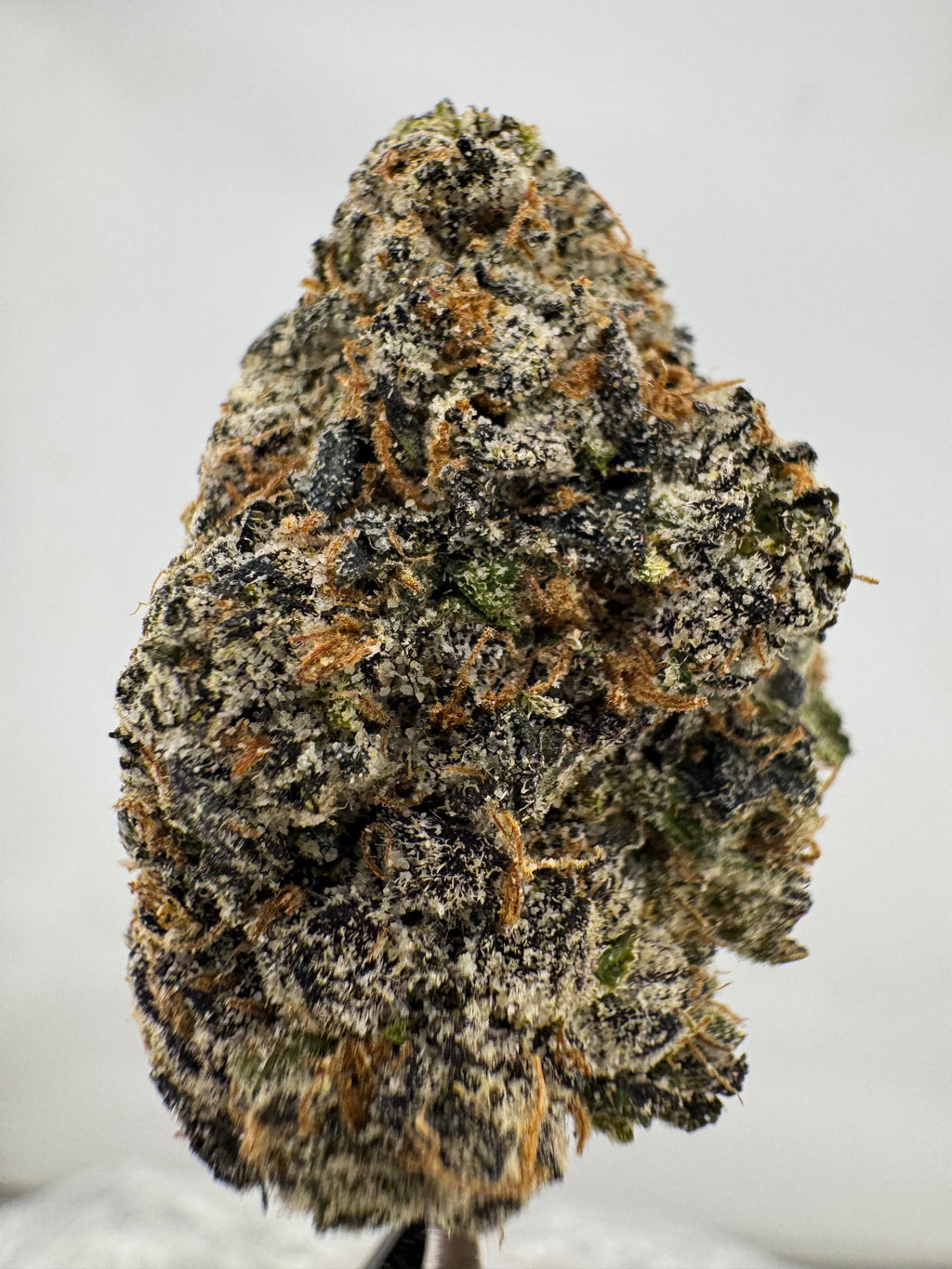 Bubblegum Popperz