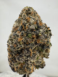 Bubblegum Popperz