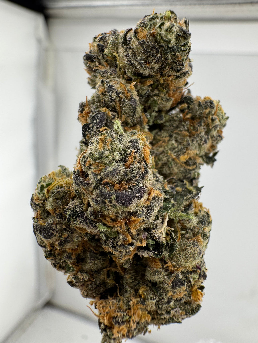 Black Ice