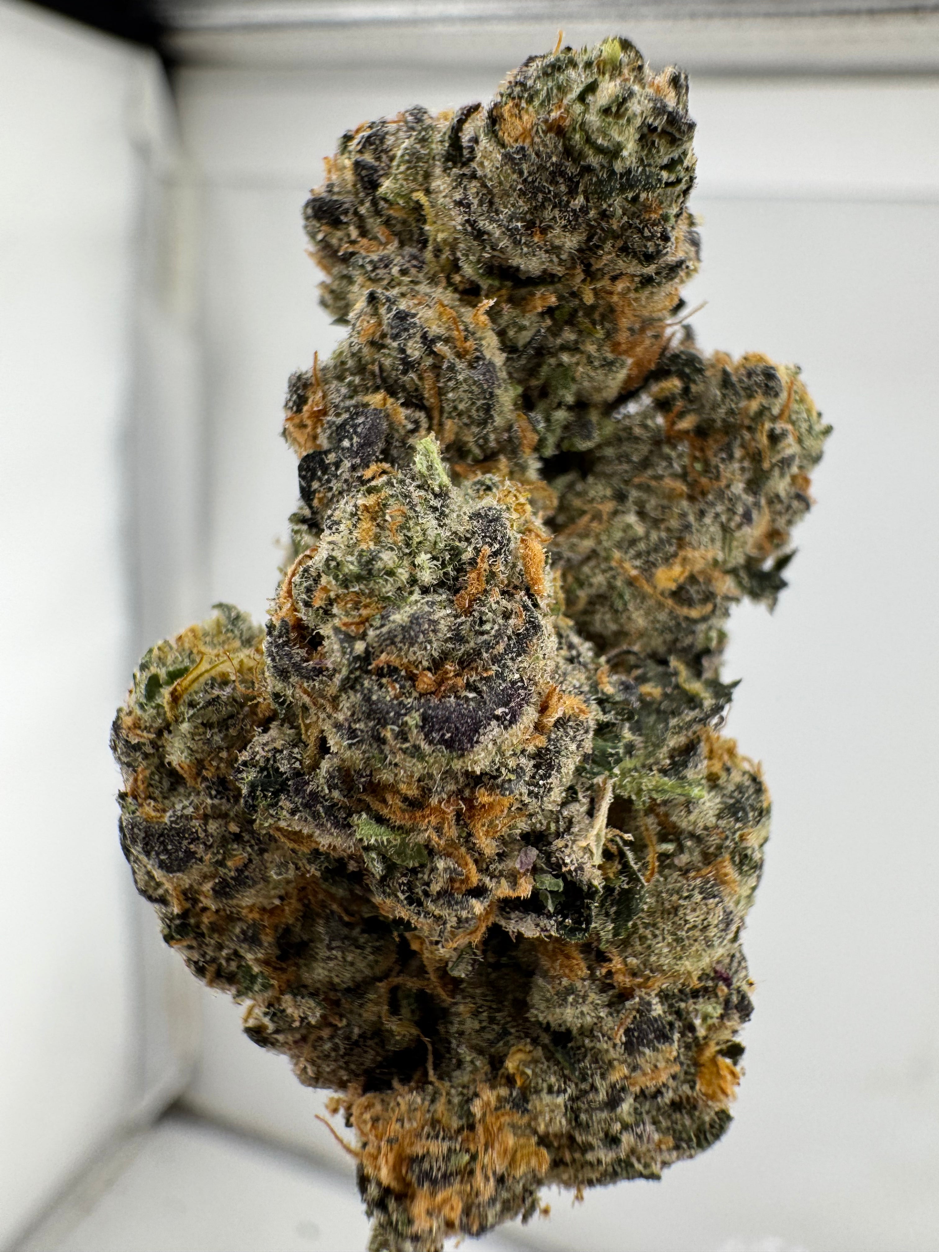 Black Ice
