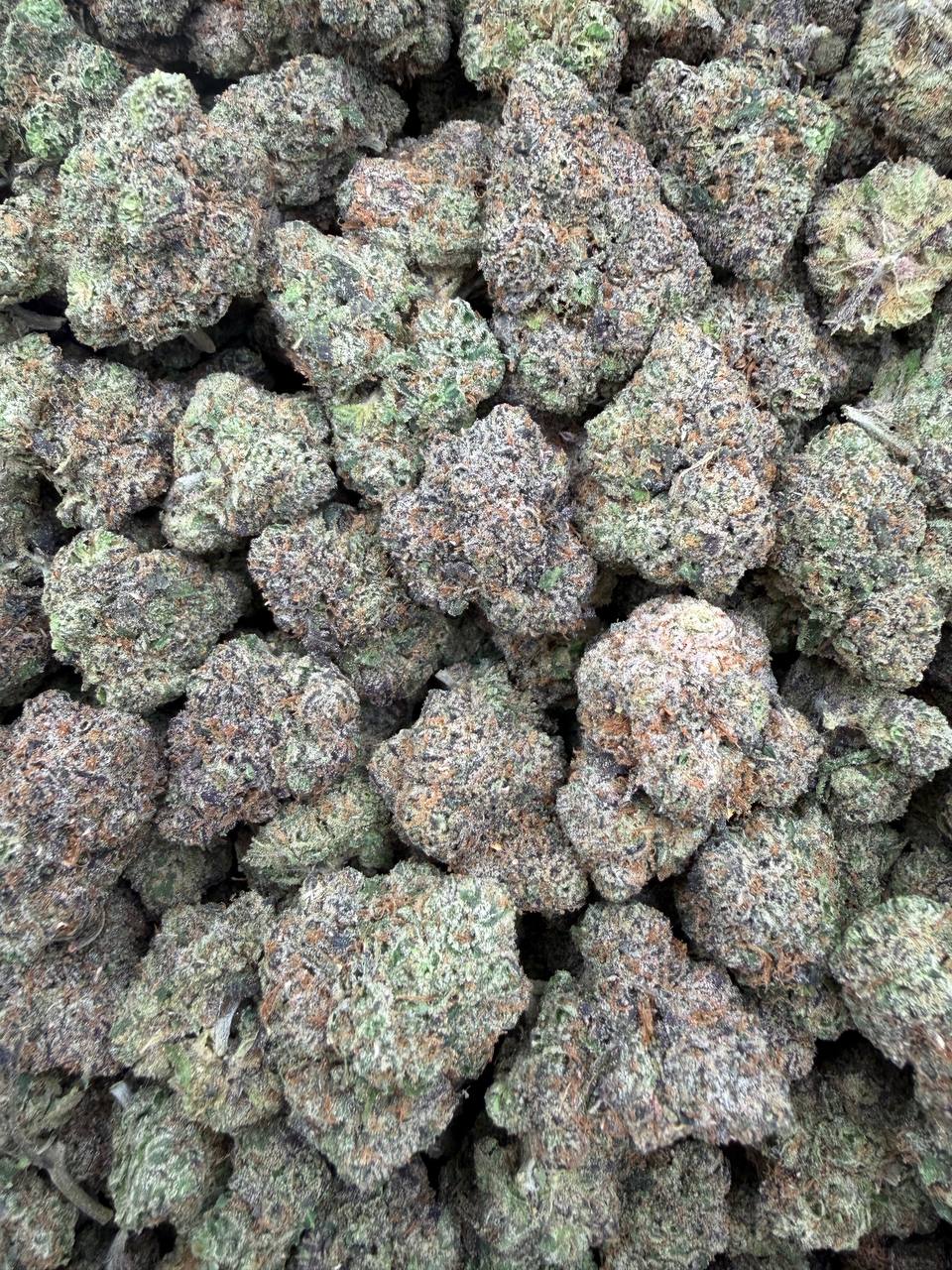 Lemon Taffy Runtz