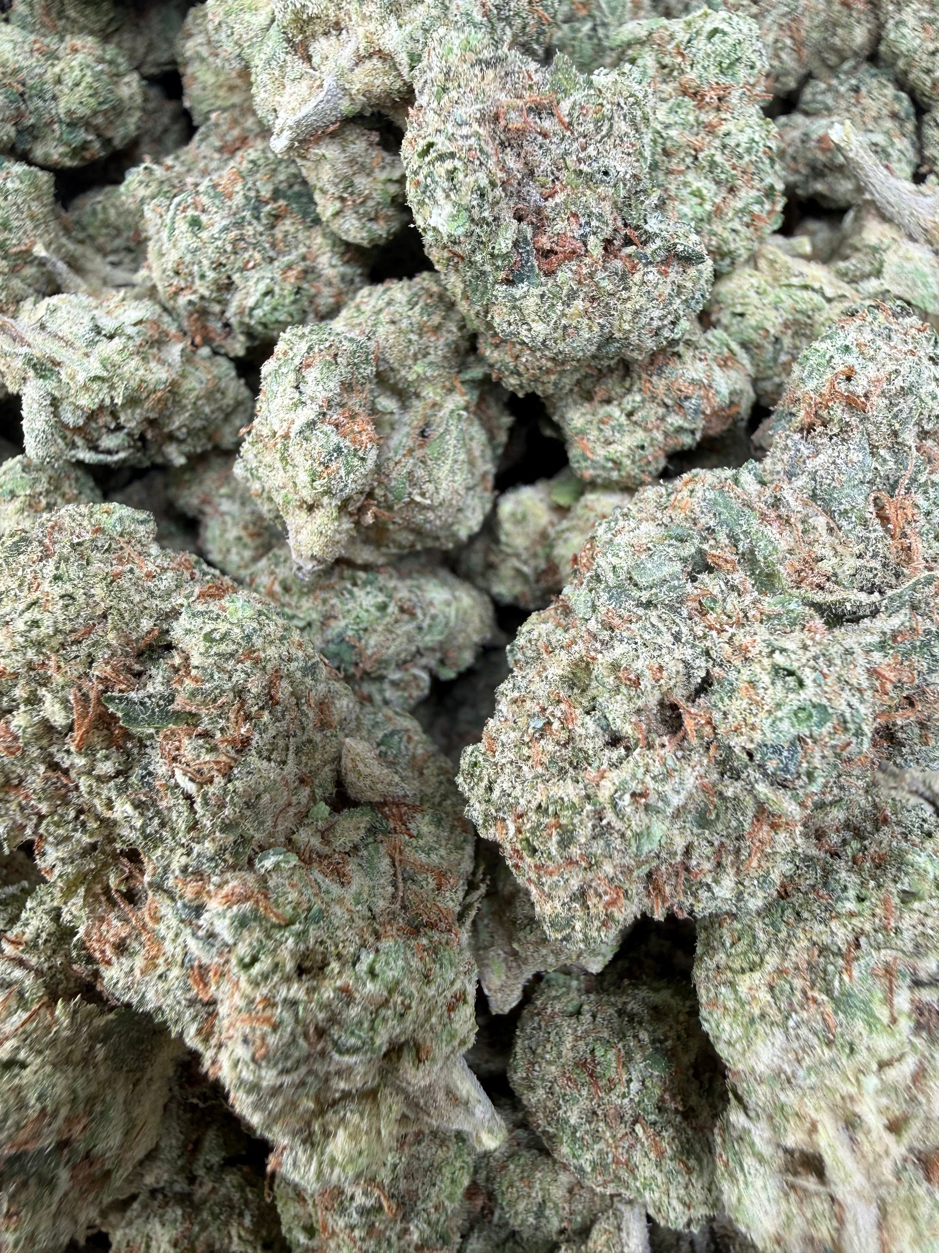 Mimosa
