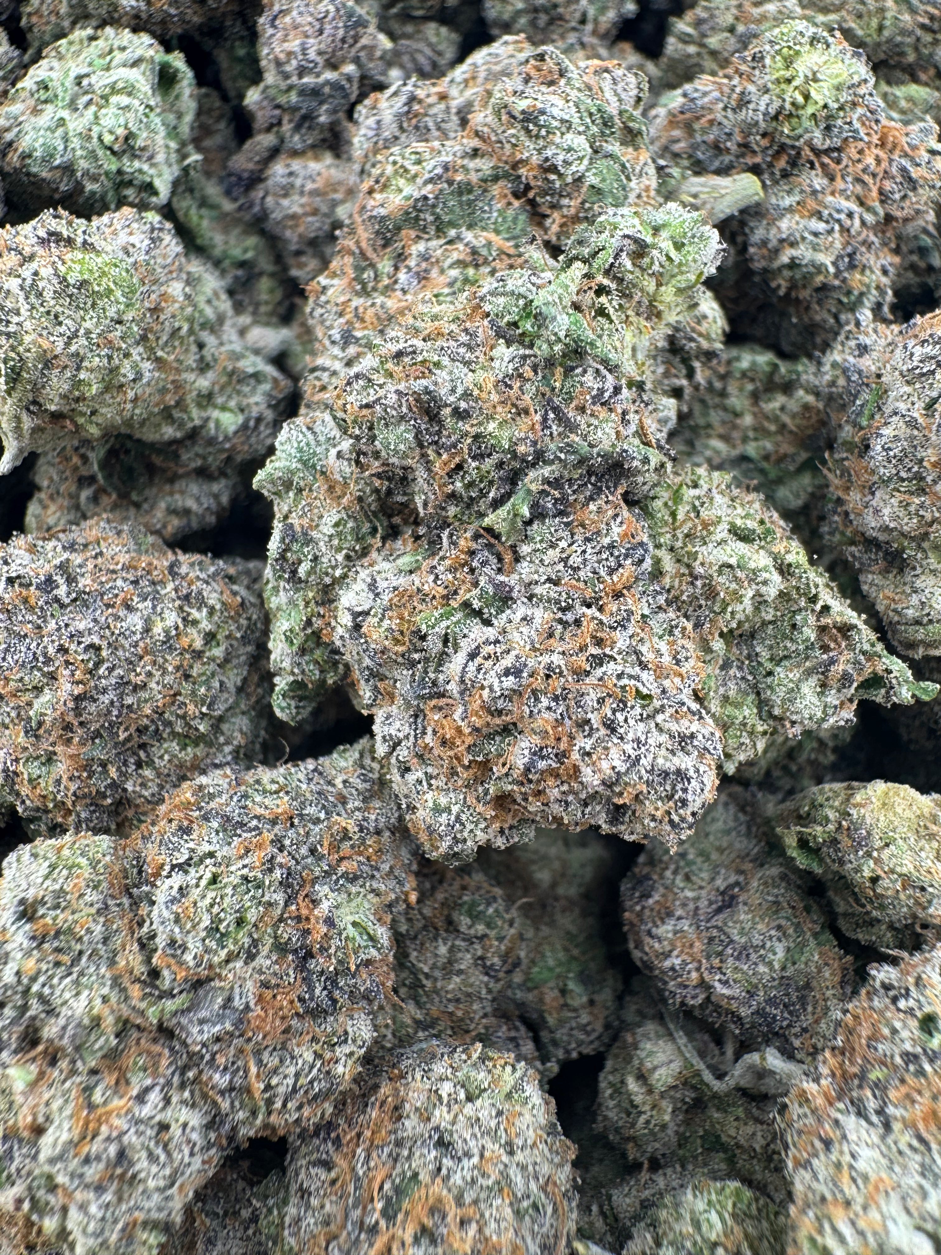 White Cherry Gelato