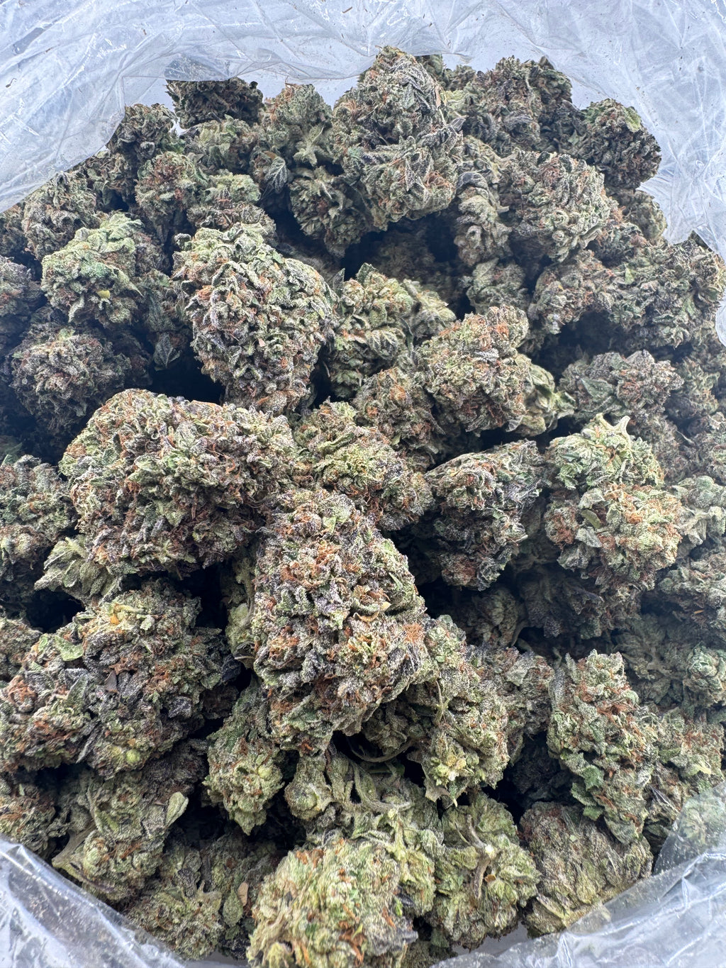 AAA Deps:Gelato 33