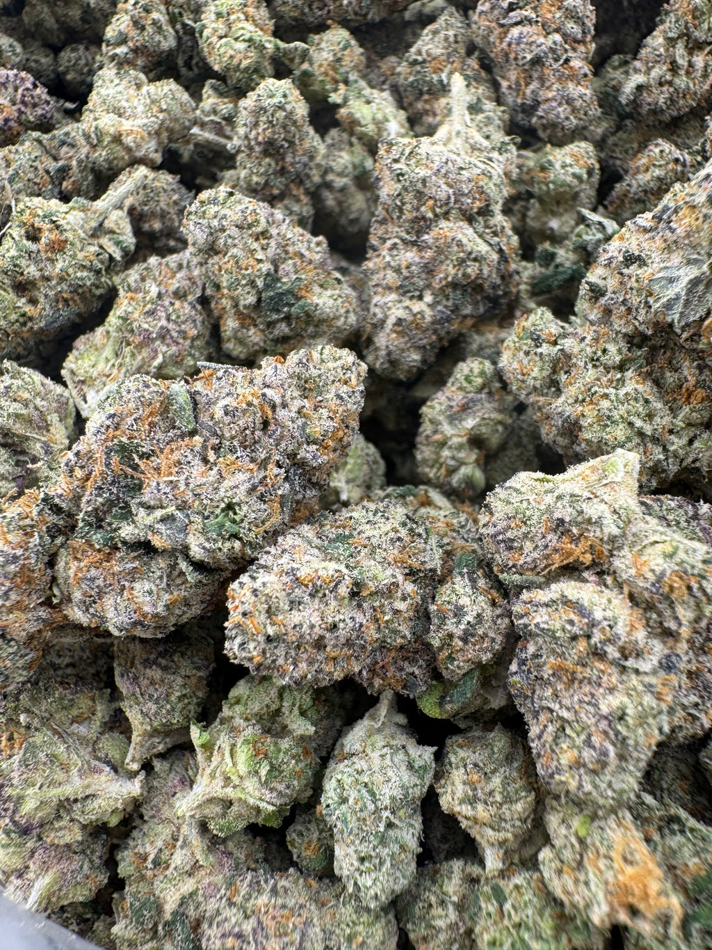 Purple Peeps M