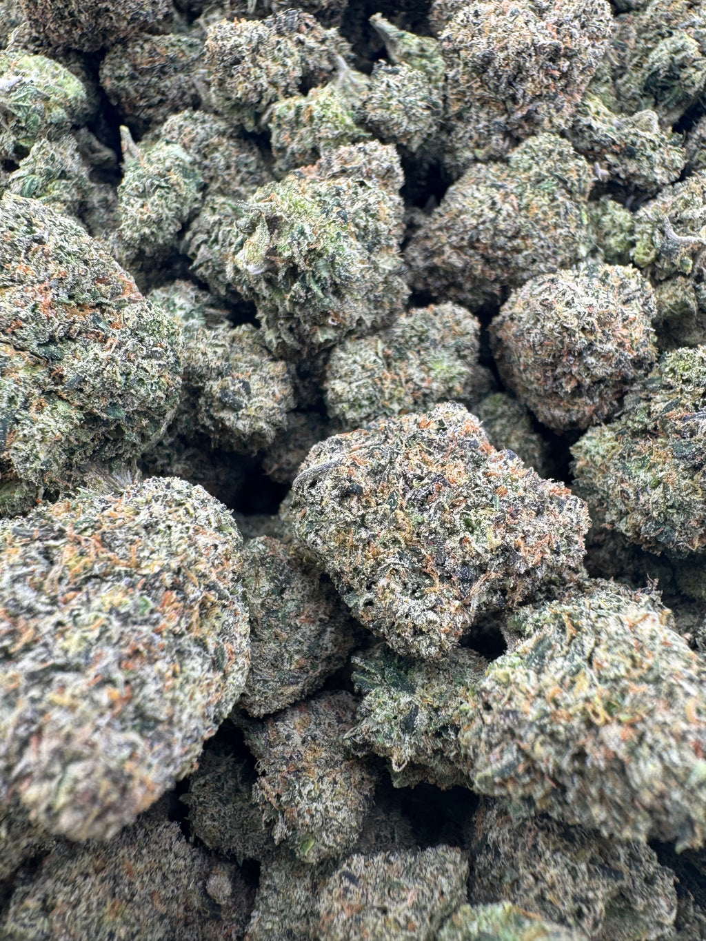 White Gumbo