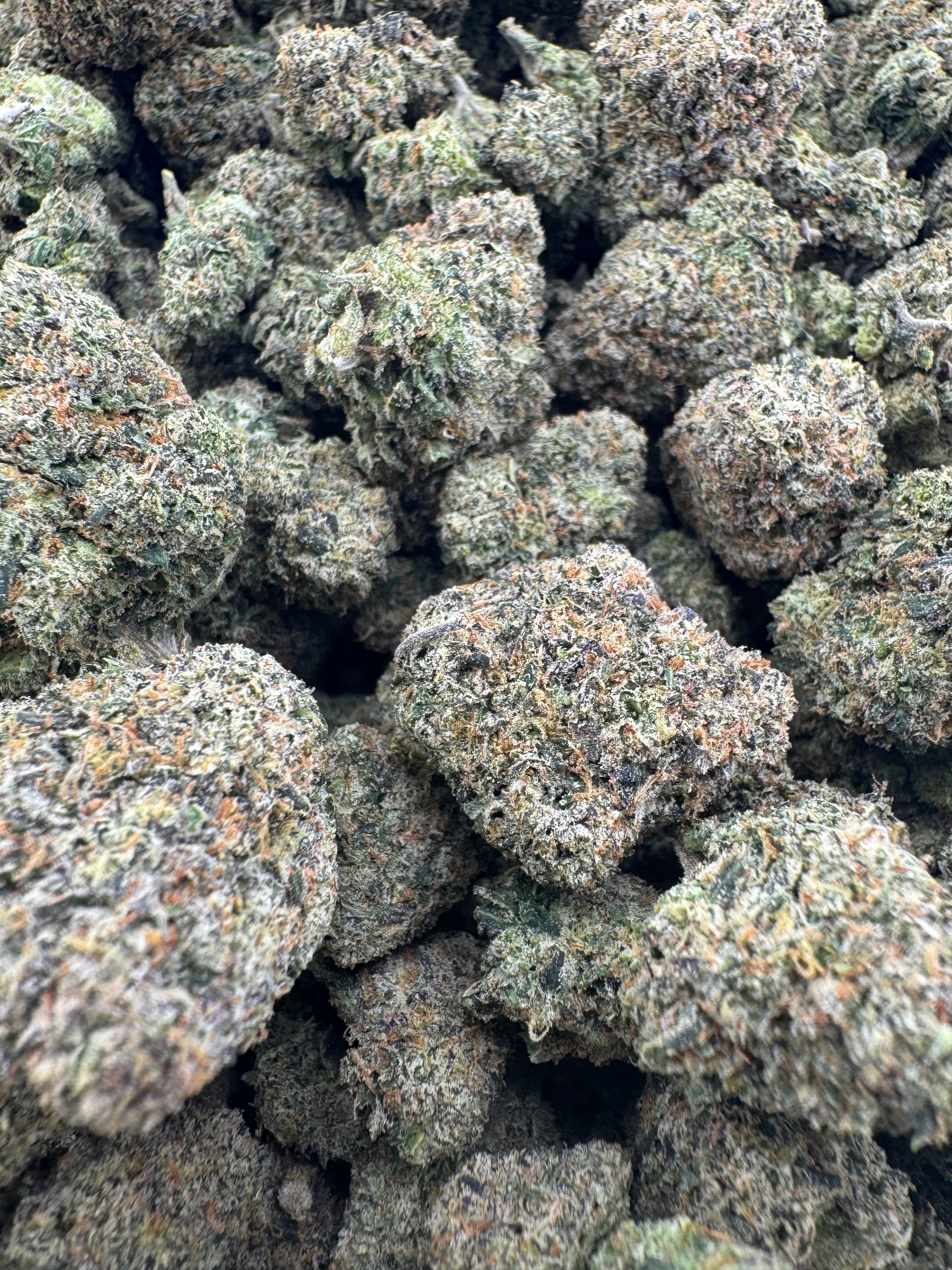 White Gumbo
