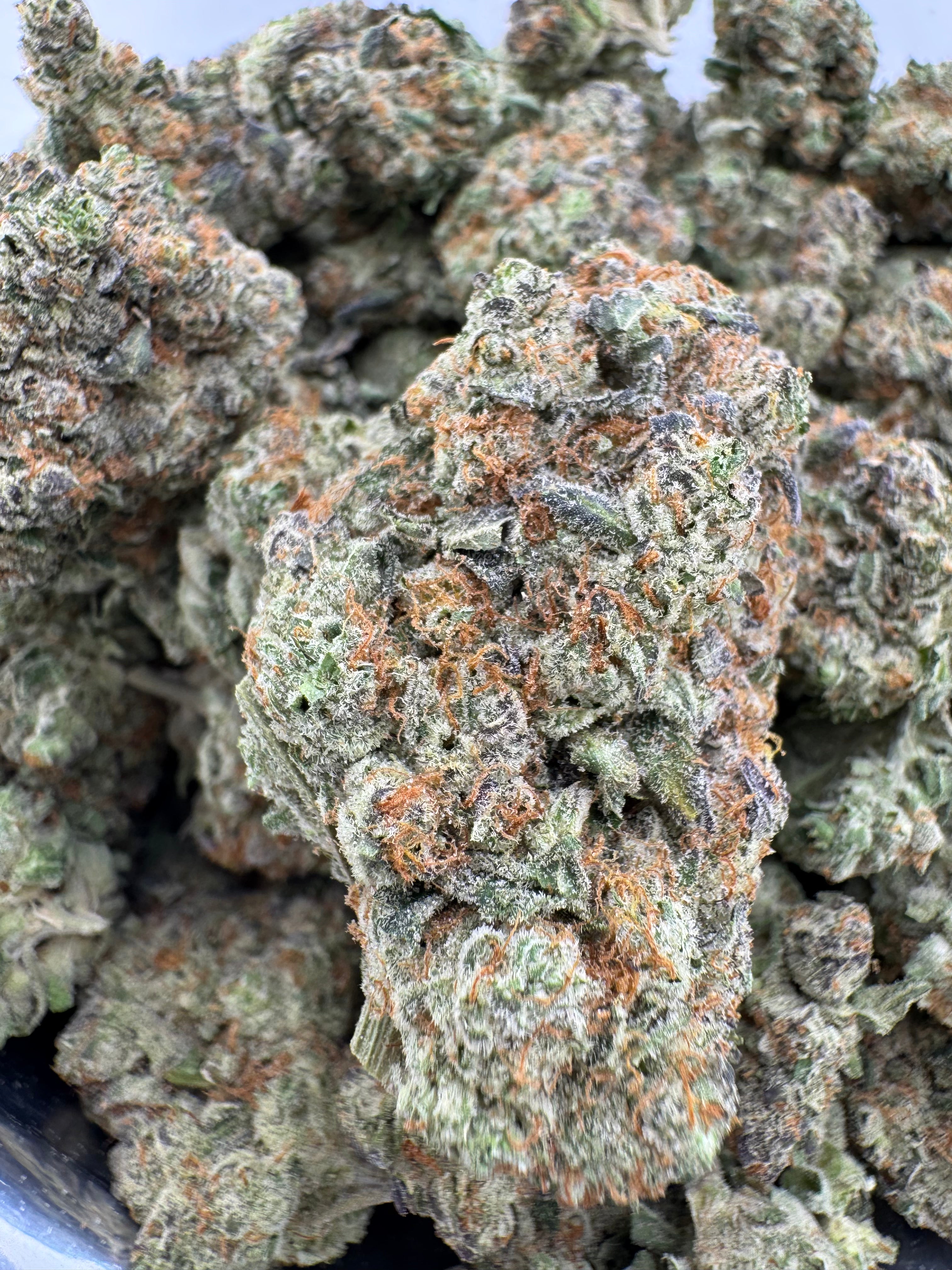 Yetti OG