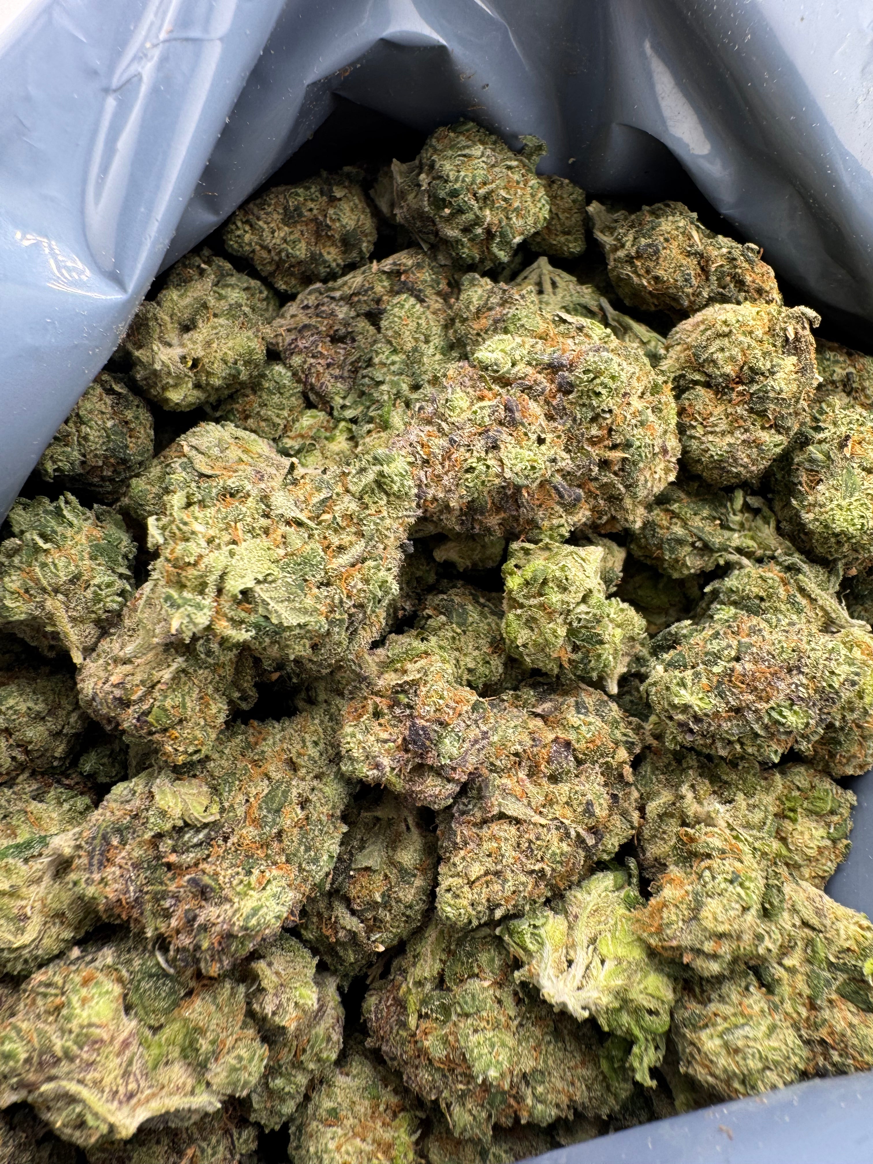 Purple urkle