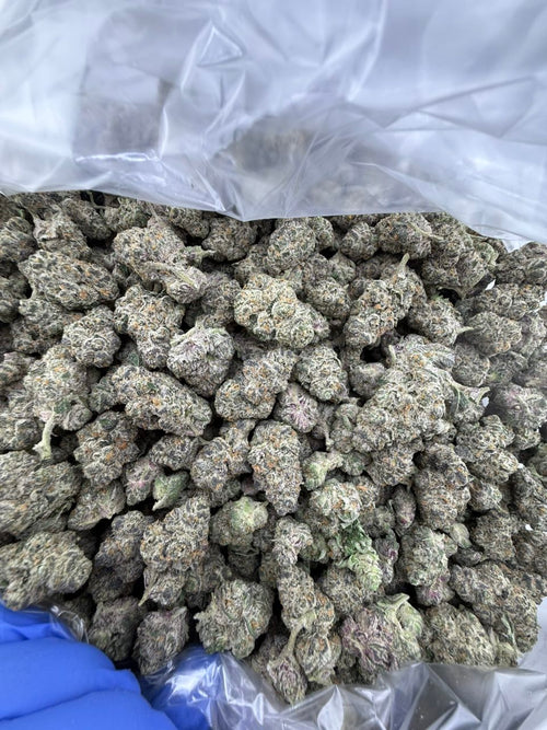 Bubble Gum