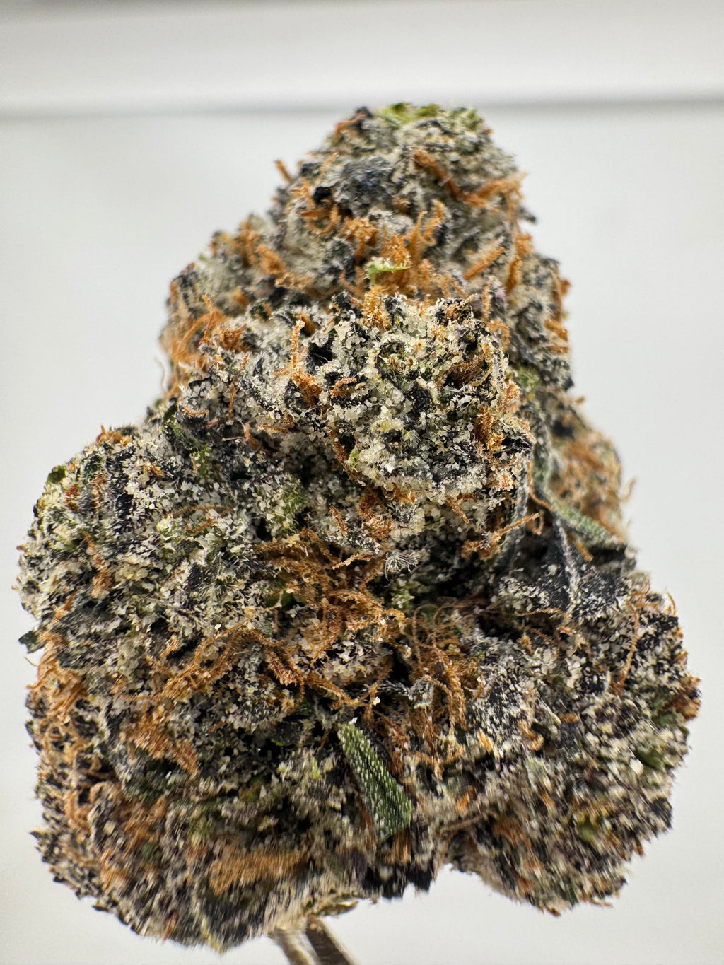 Dreamsicle
