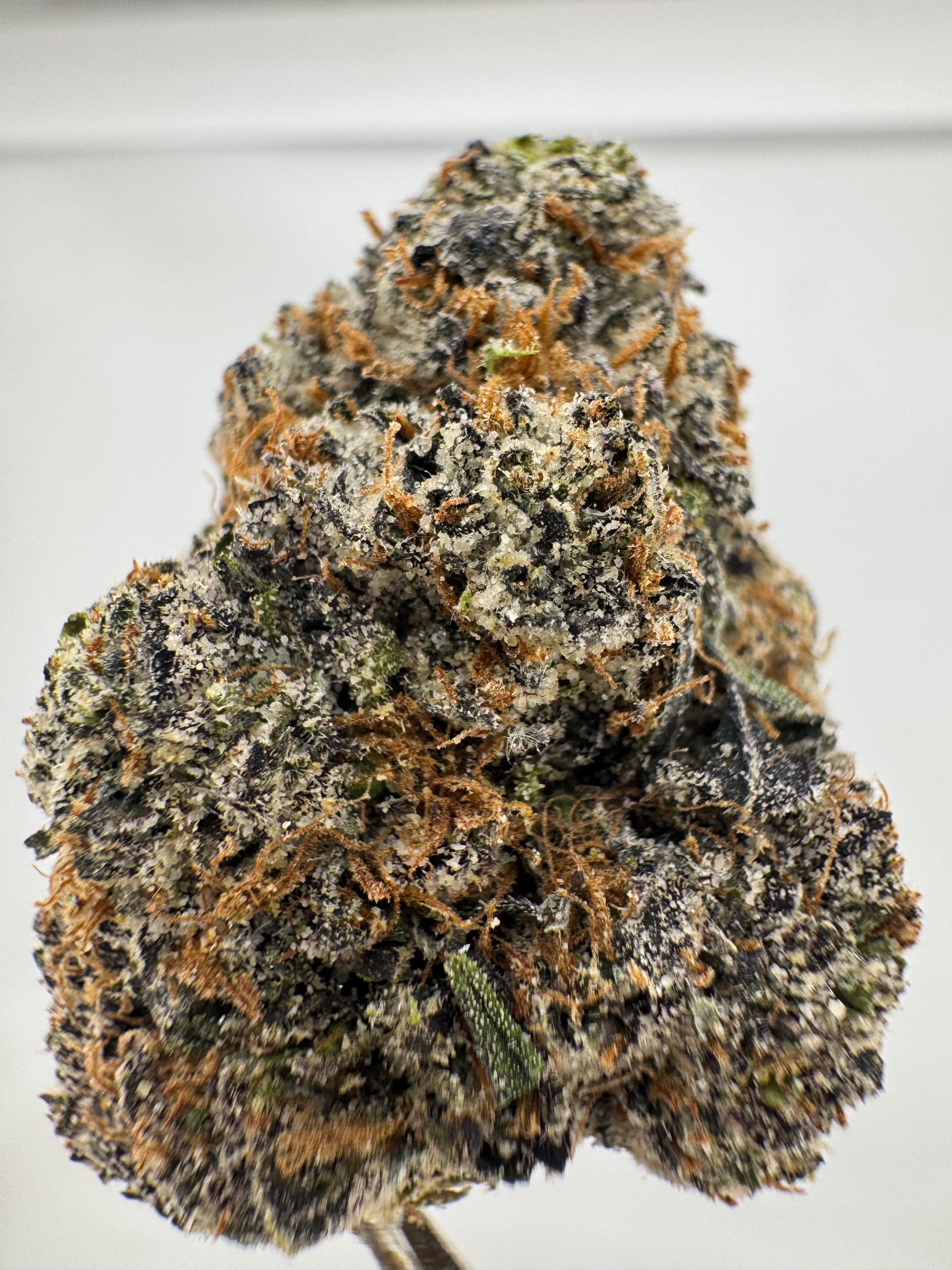 Dreamsicle