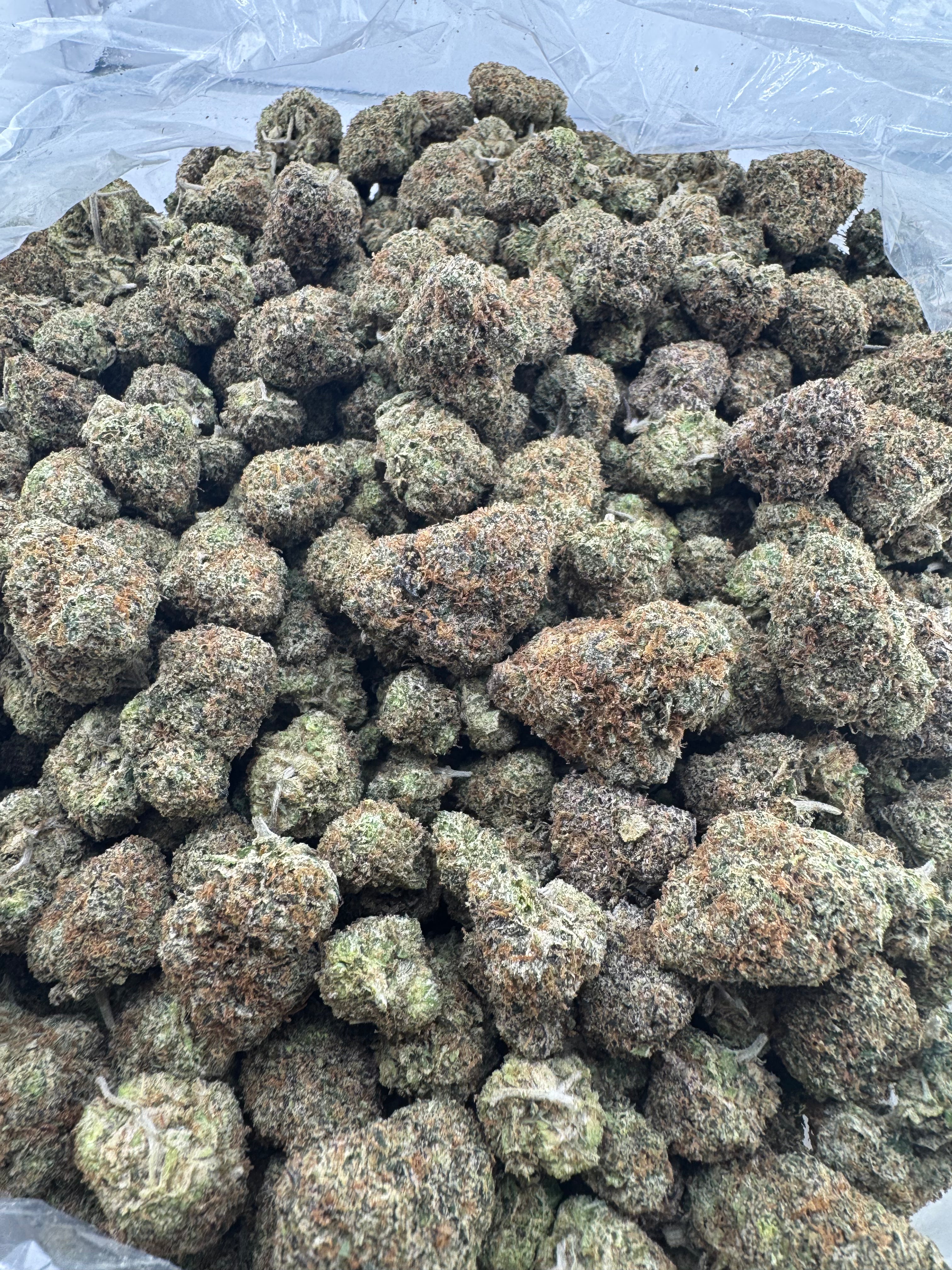 Money Man Candy