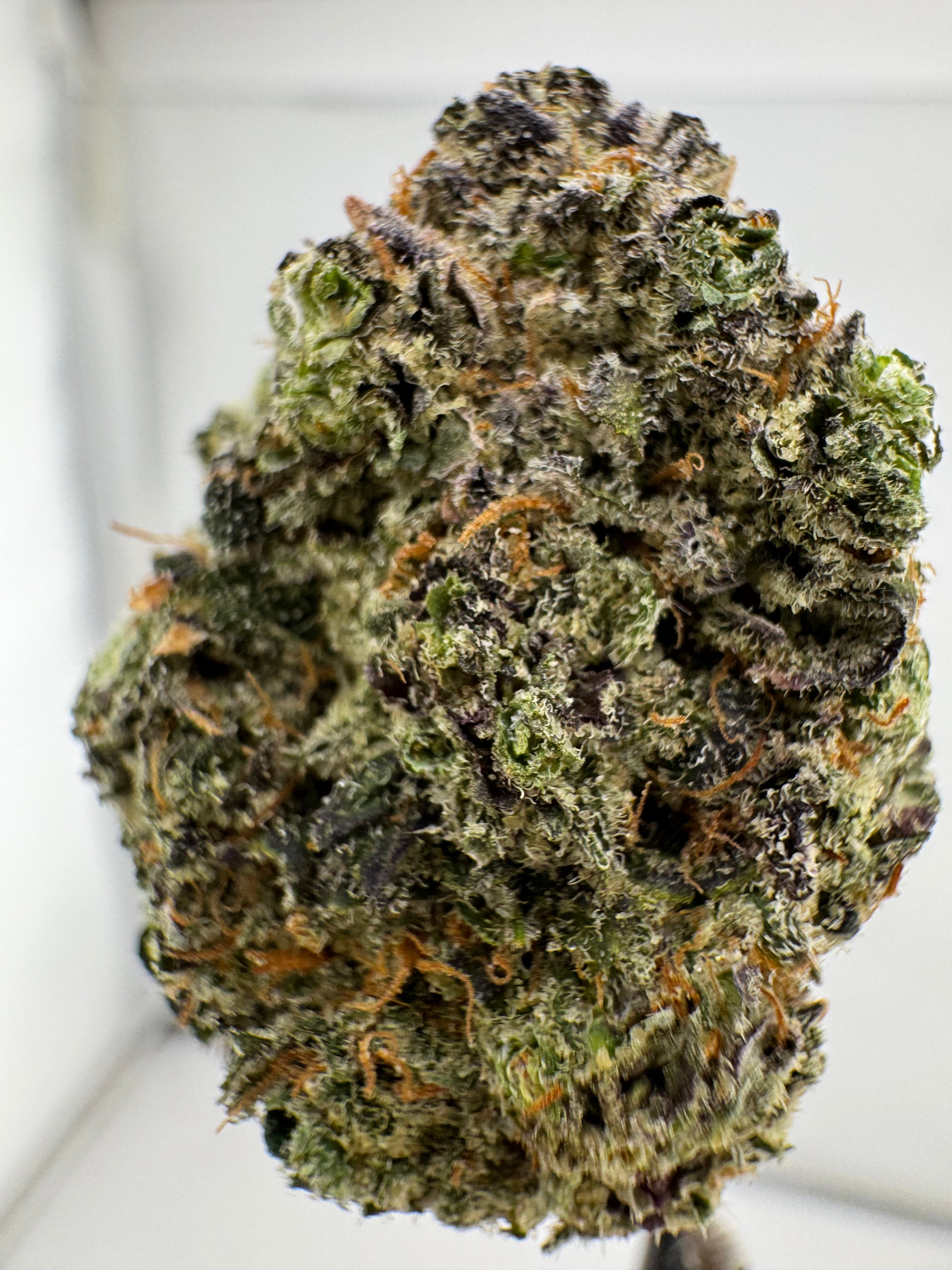 Purple urkle