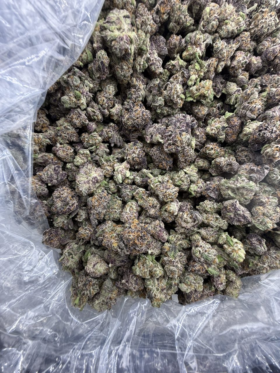 Grape Gushers