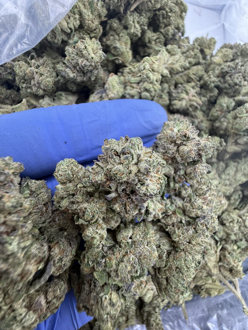 Grape Zours