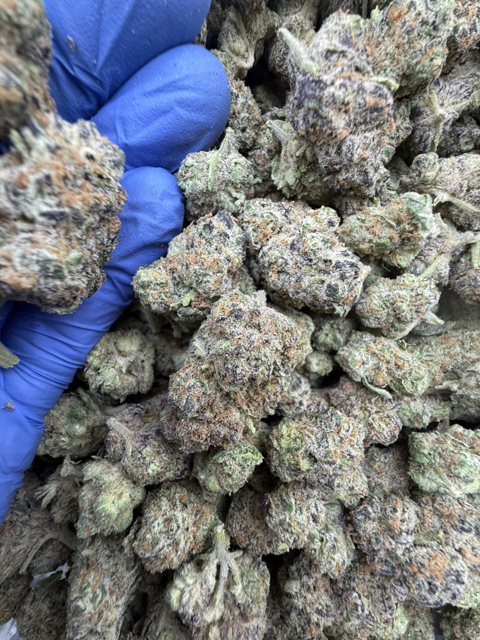 Peanut Butter Breath B