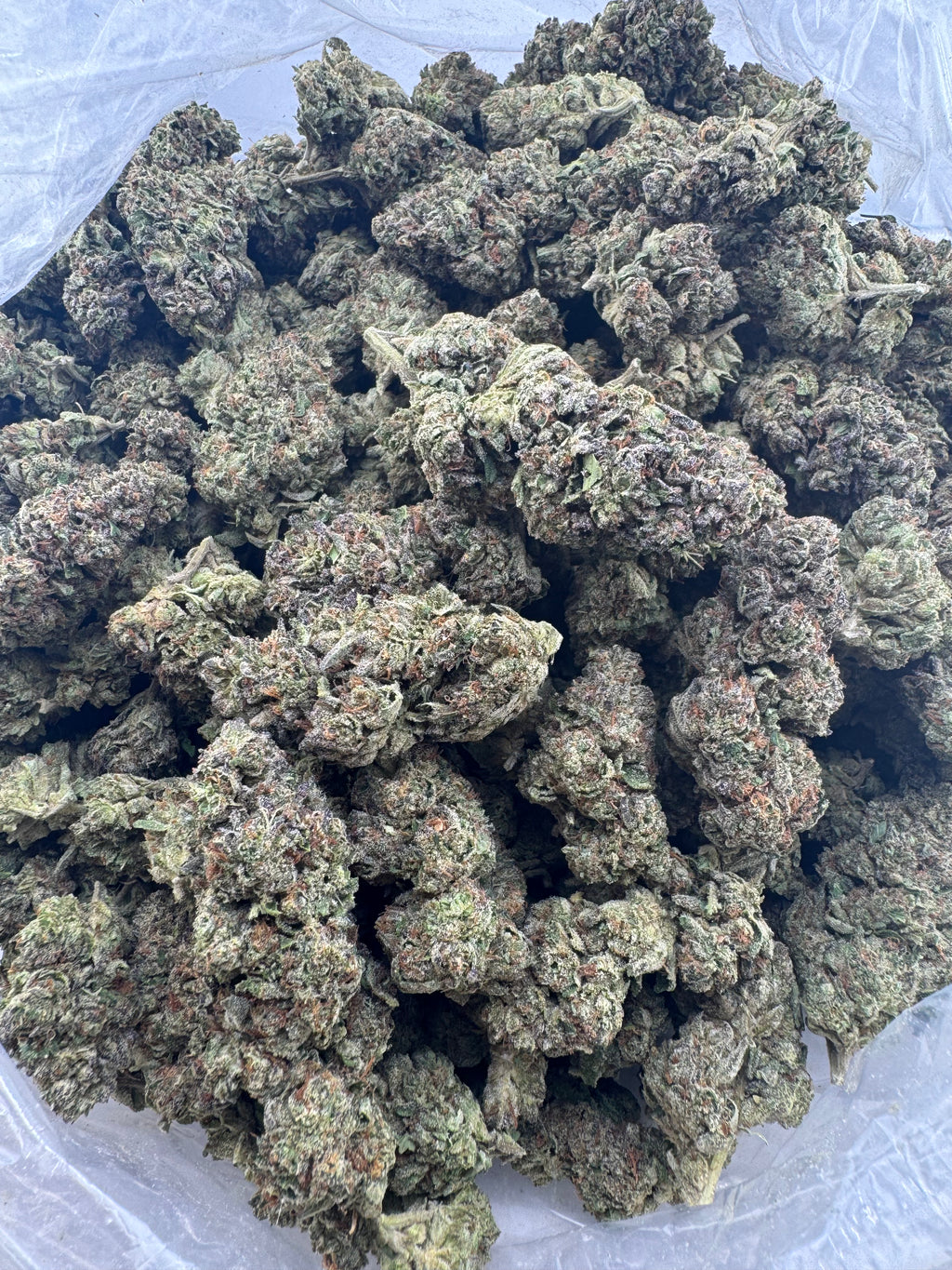 AAA Deps:Gelato Punch