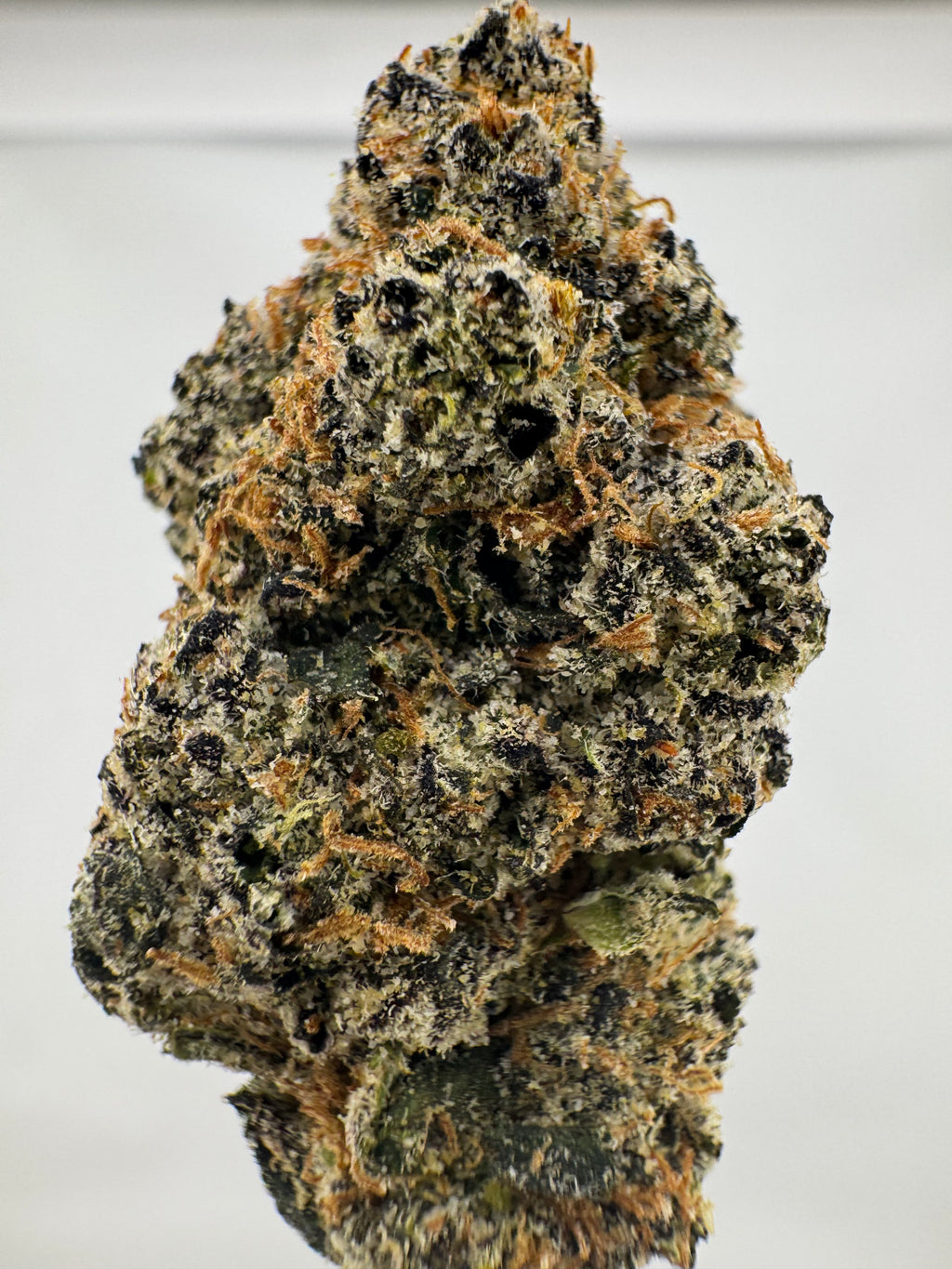 Lemon Dolce Candy