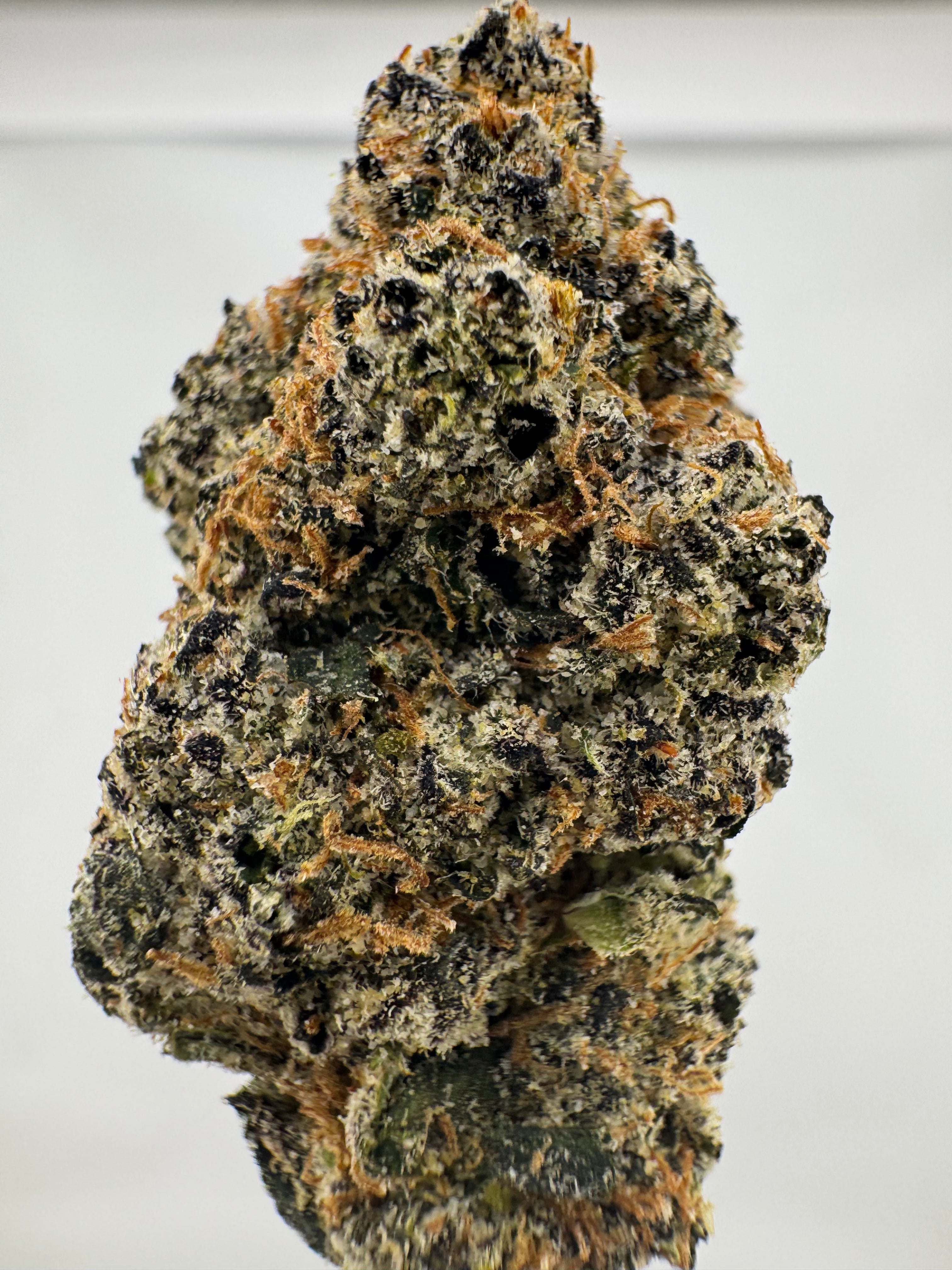 Lemon Dolce Candy