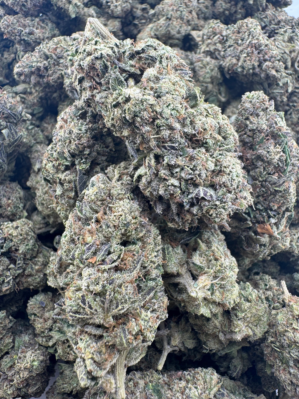 AAA Deps:Mod Grapes
