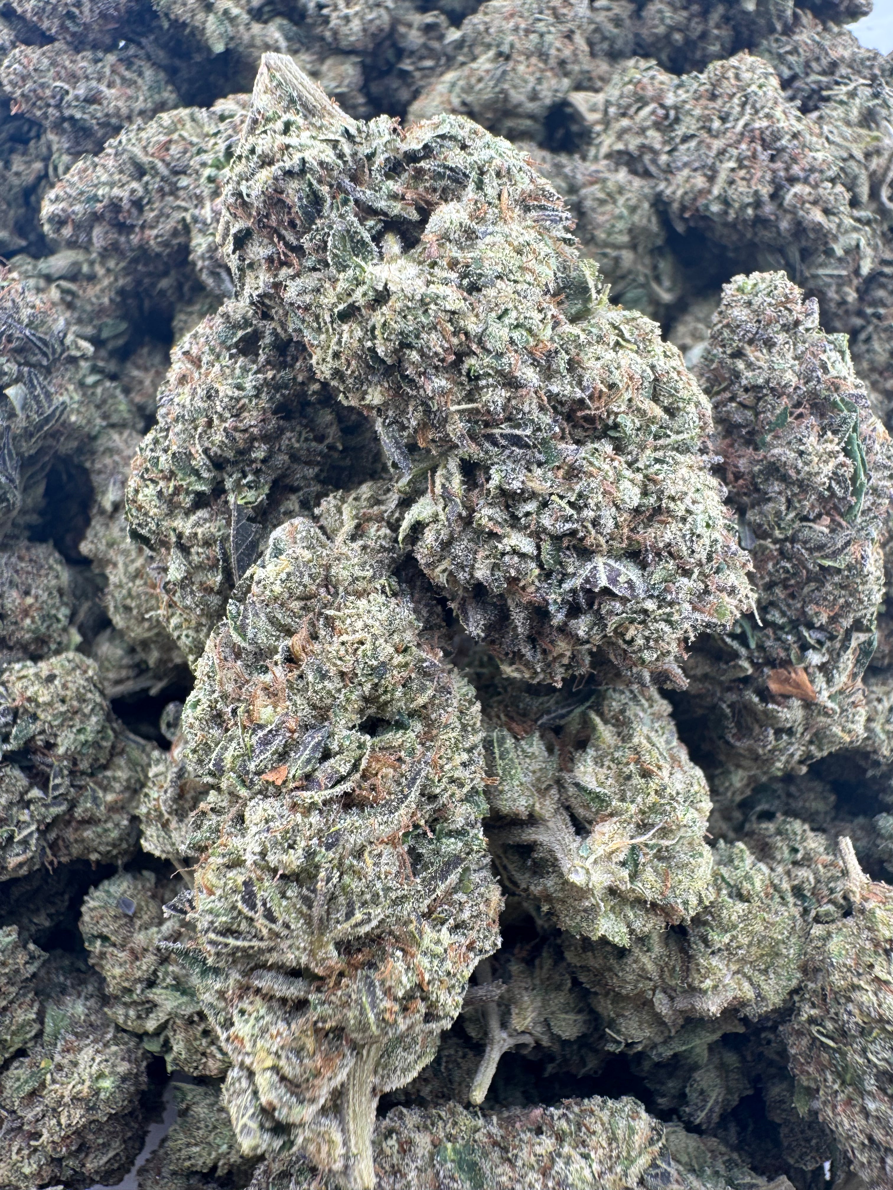 AAA Deps:Mod Grapes