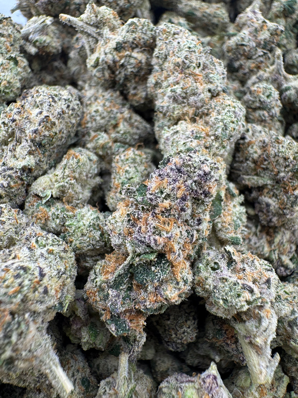 Purple Cocaine